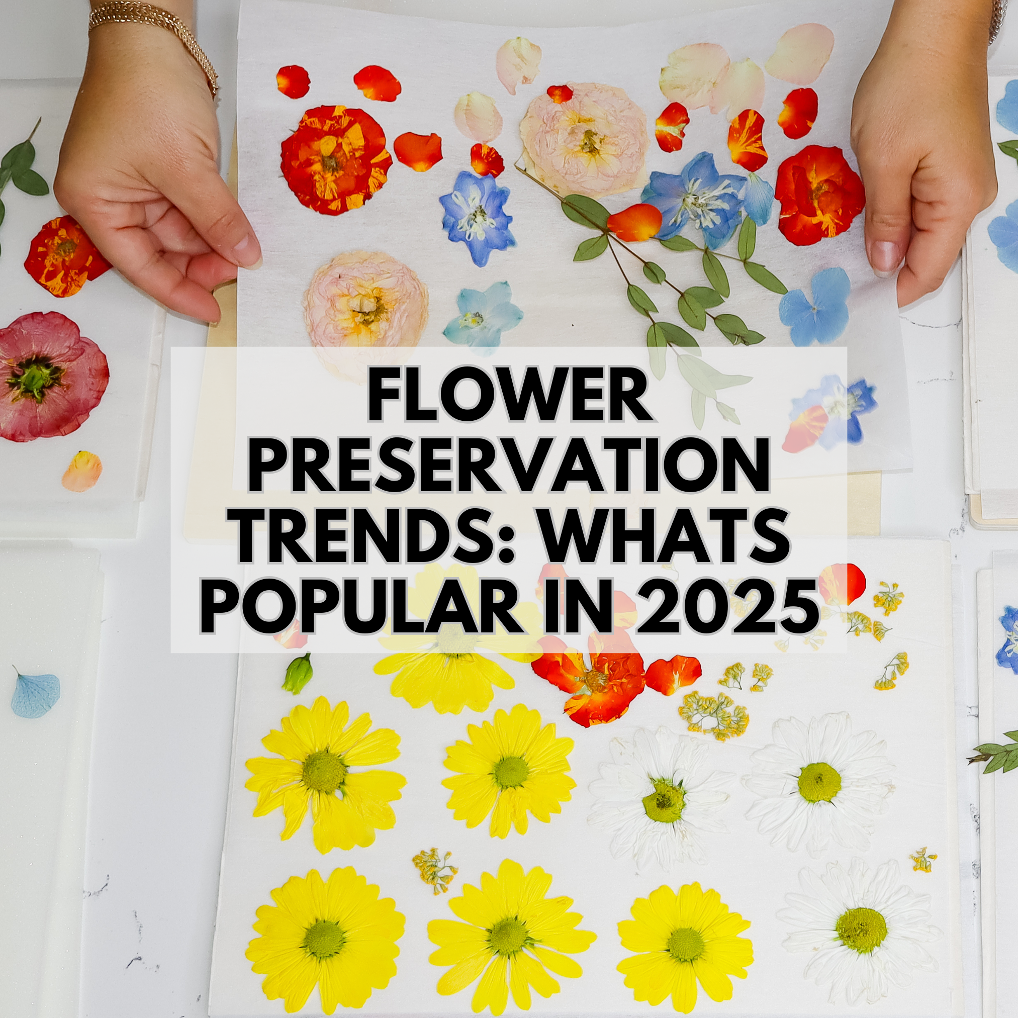 FLower Preservation Trends Popular in 2026