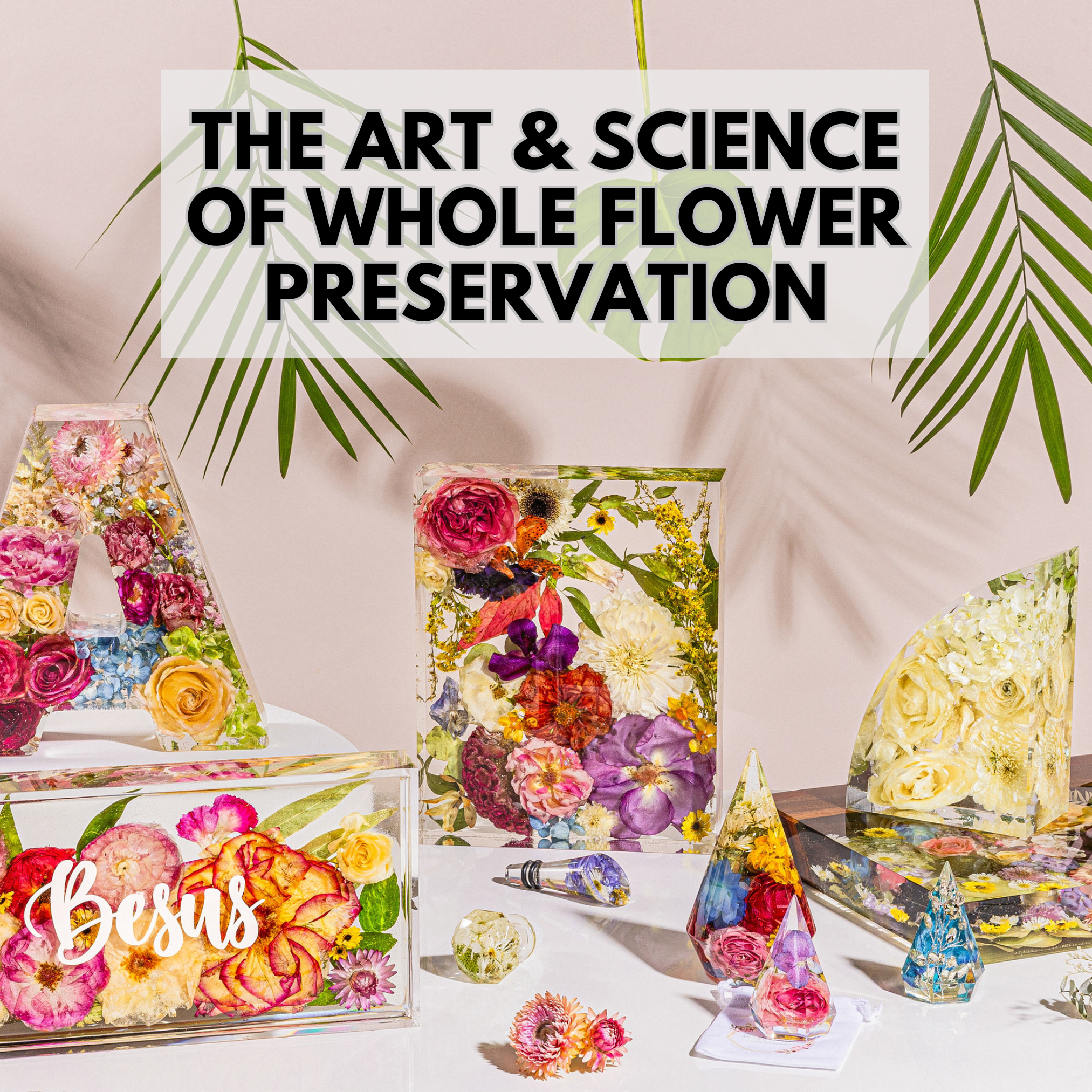 The Art & Science Of whole flower preservation