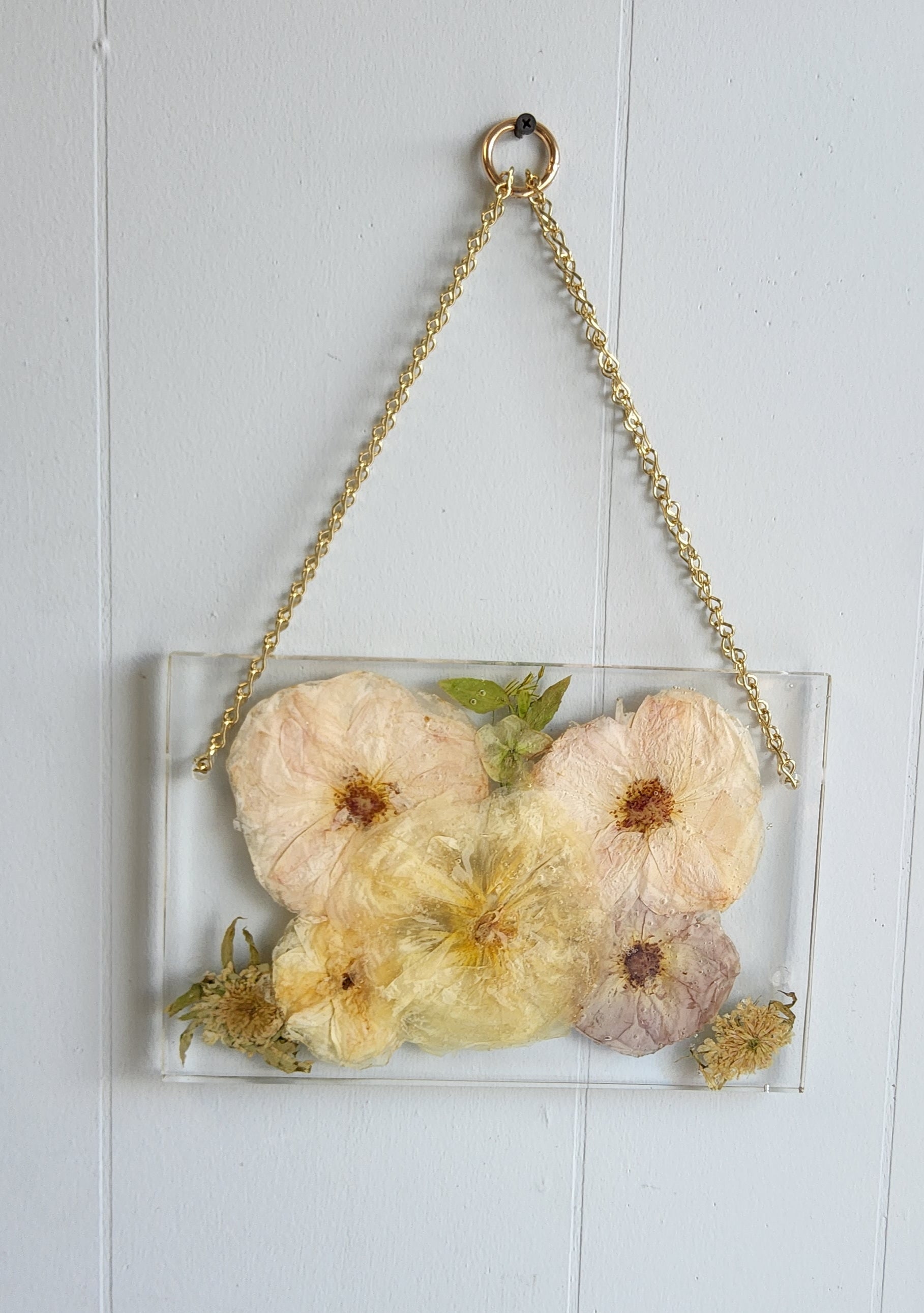 12x8 Pressed Flower Hanging Frame with Chain