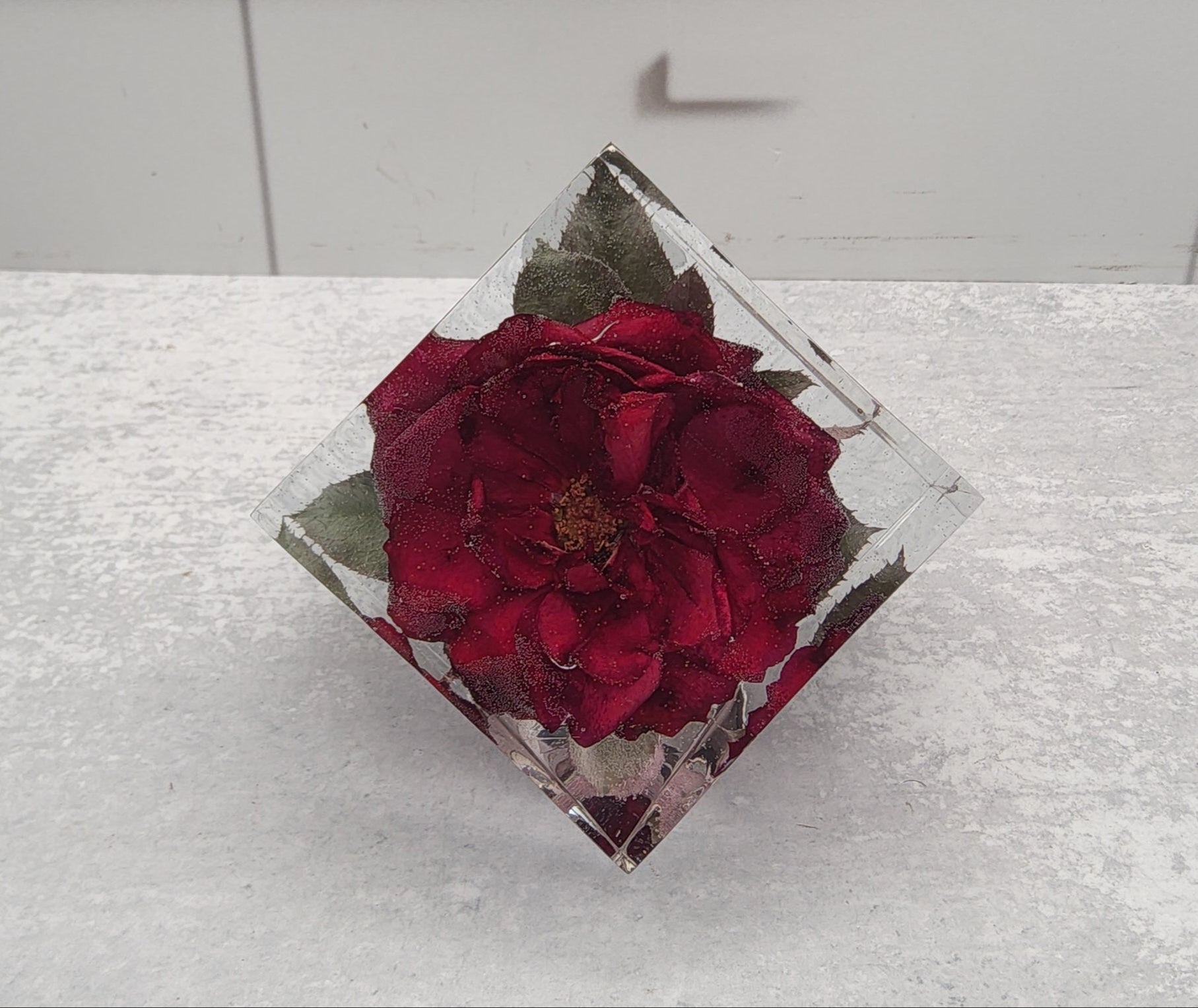 Red rose preservation red garden rose preserved in resin cube