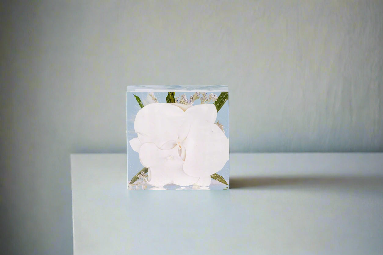 Bouquet Preservation 3x3 cube with color correction white orchid