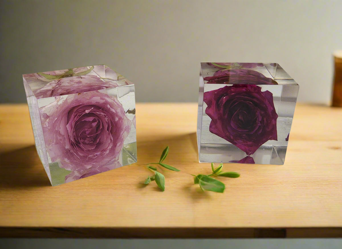 flower preservation cube preserved roses
