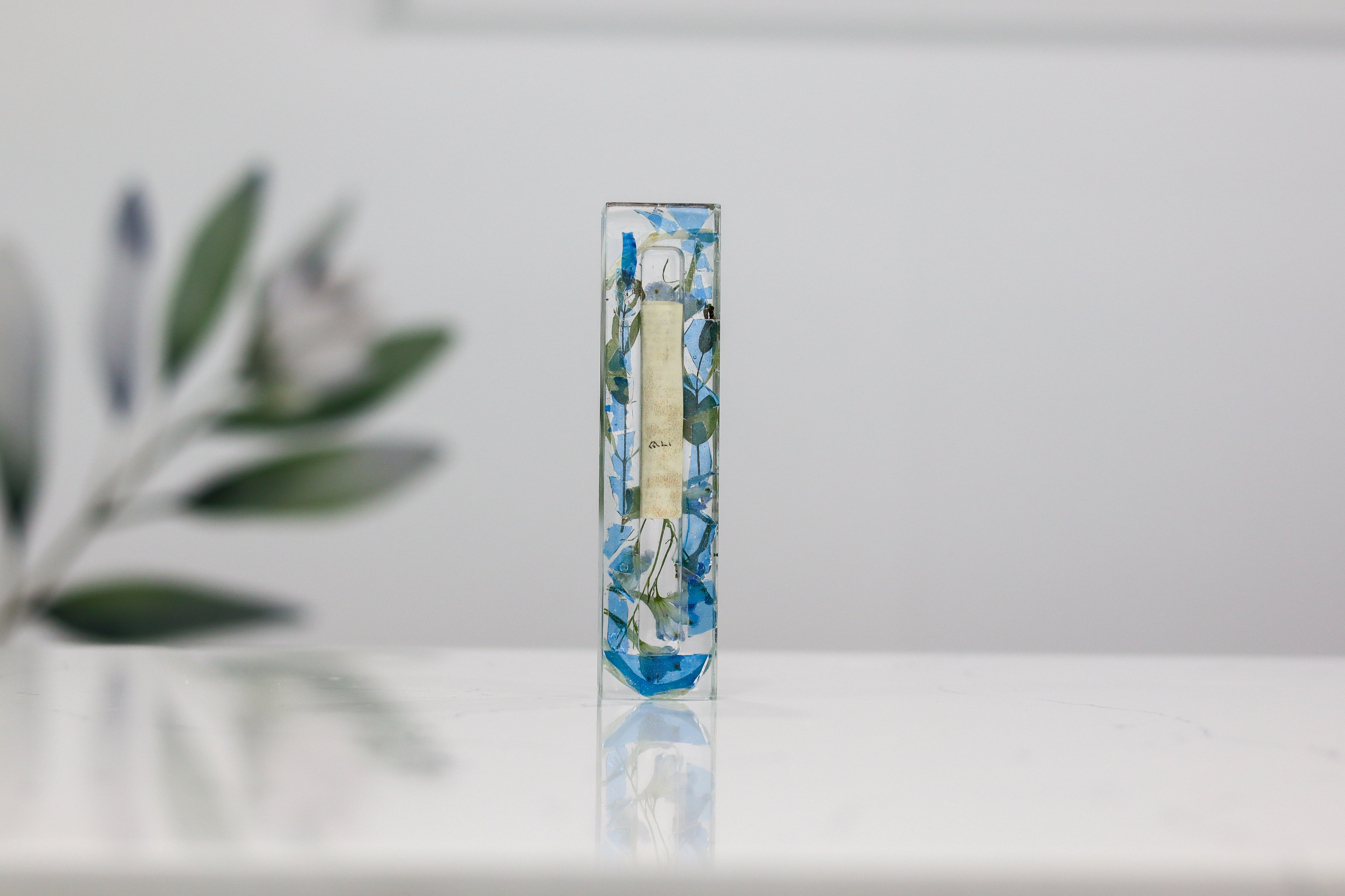 Preserved Flower Mezuzah
