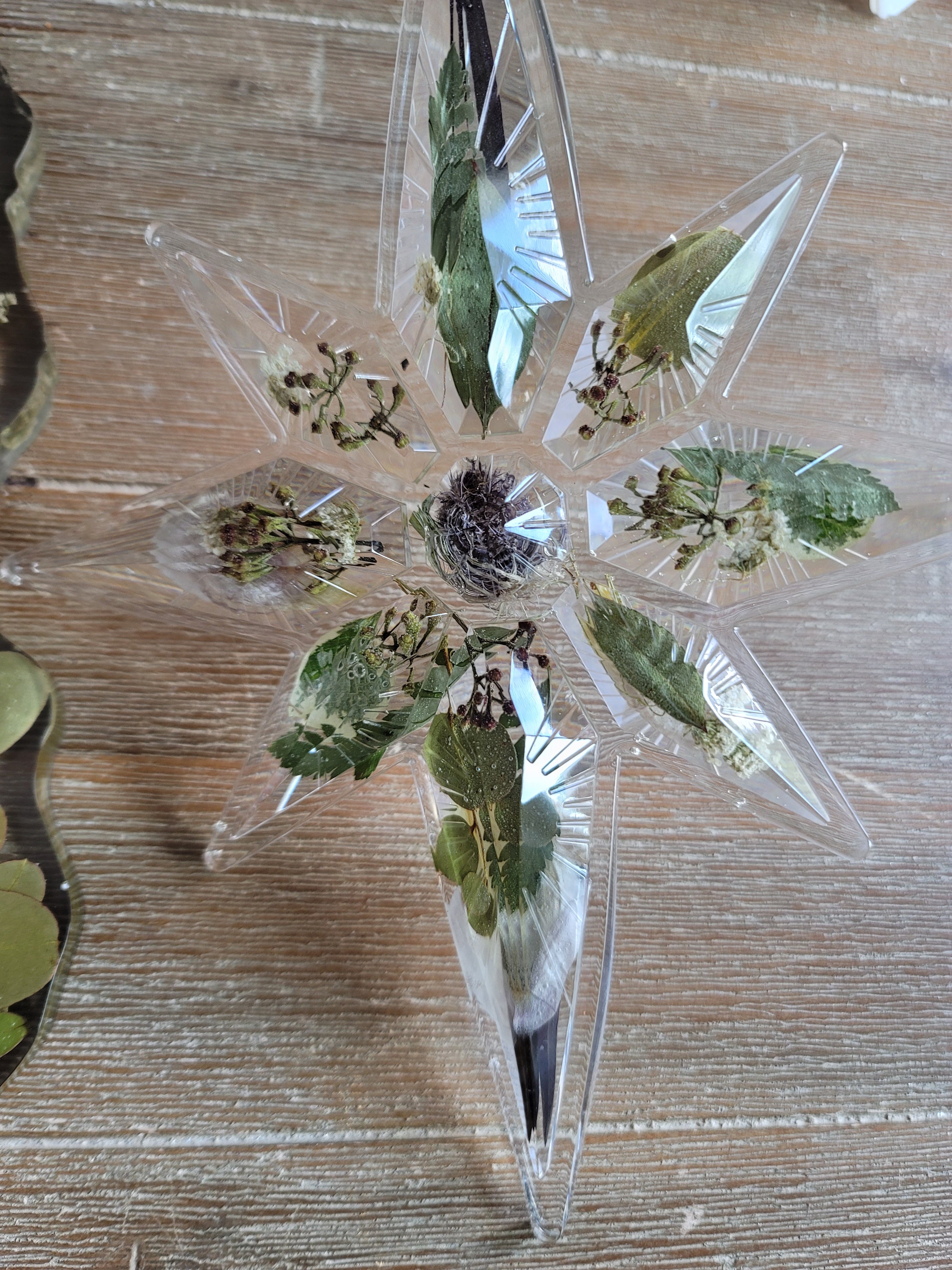 Pressed Flower Star Ornament