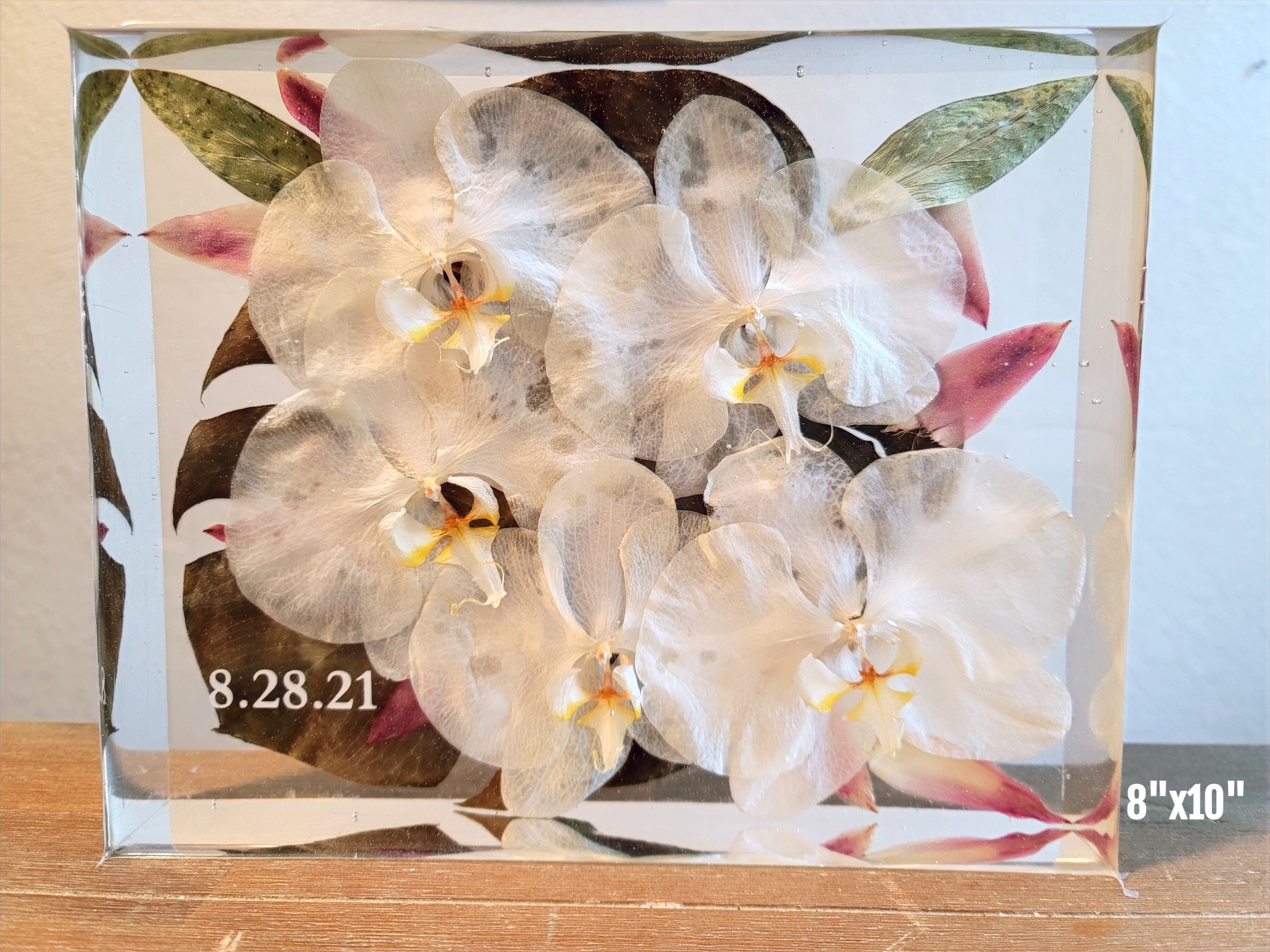 White Phalaenopsis orchid preservation