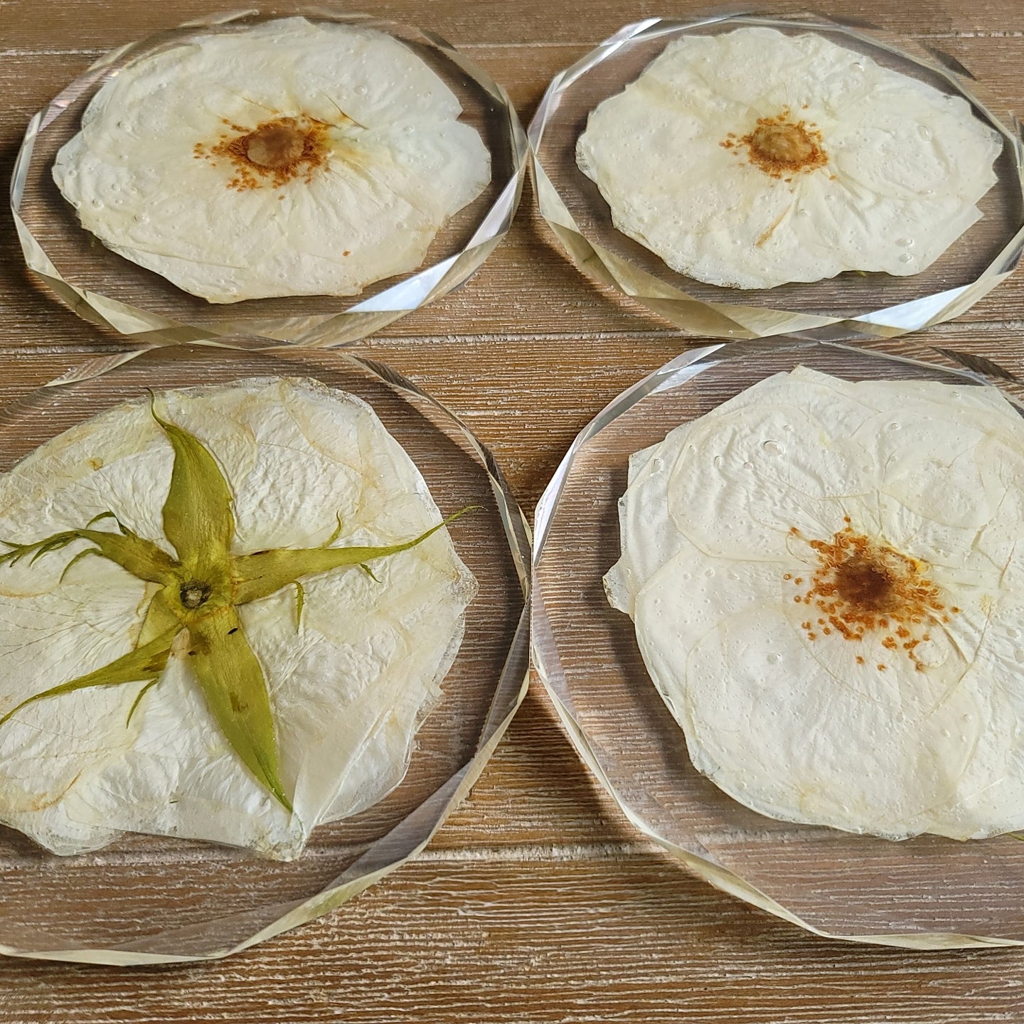 5" Pressed Flower Diamond Coaster Set