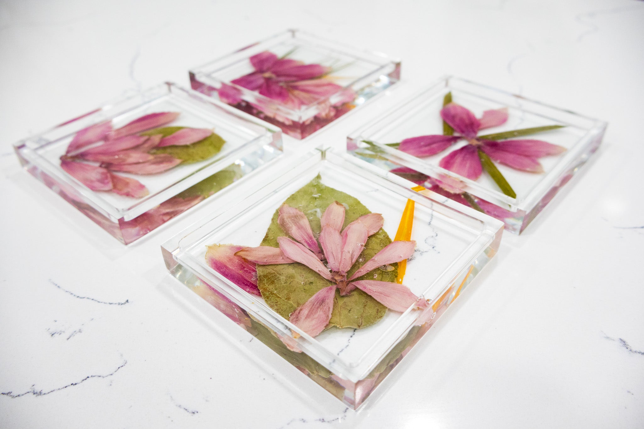 4 square coasters with pink ginger pressed flower