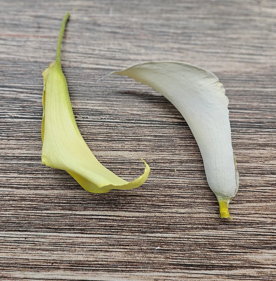 FlowerColor Correction