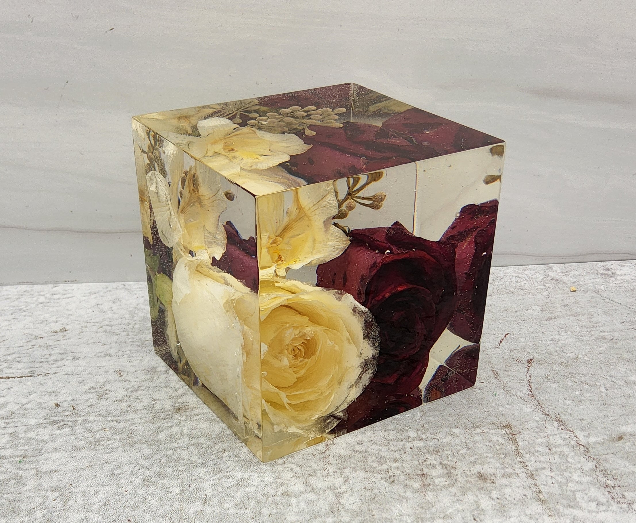 white and red rose preservation cube