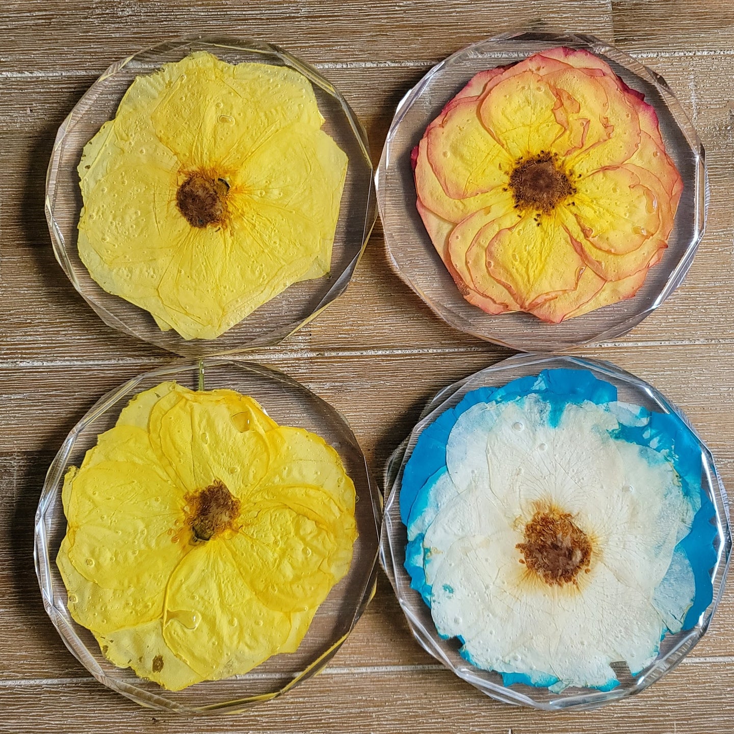 5" Pressed Flower Diamond Coaster Set