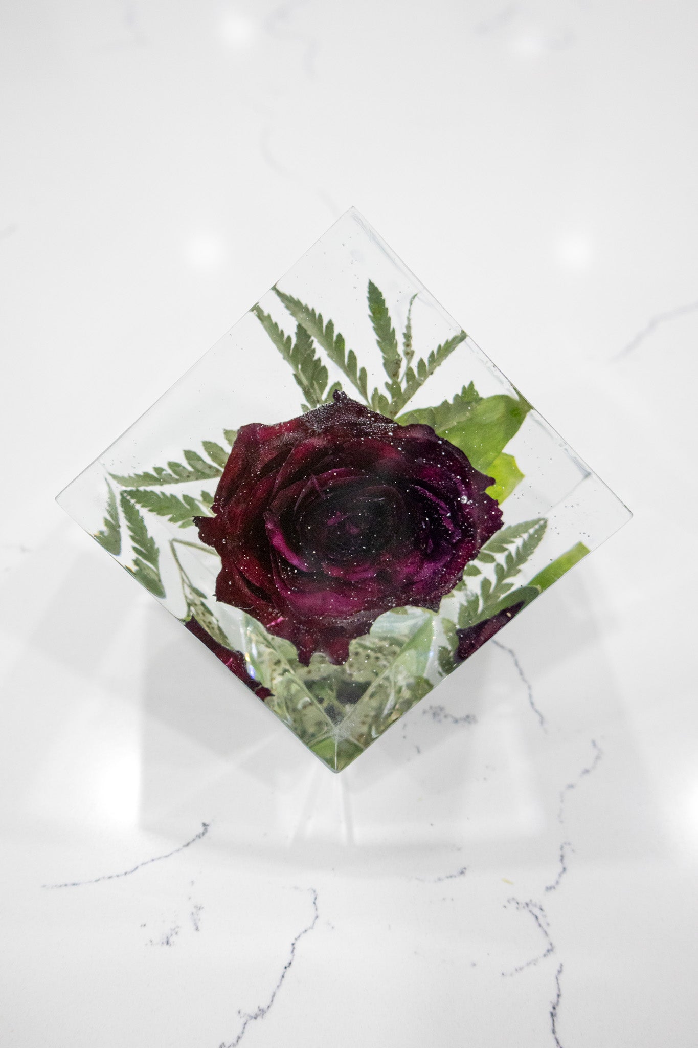 4x4 Preserved Flower Block Lighted Display