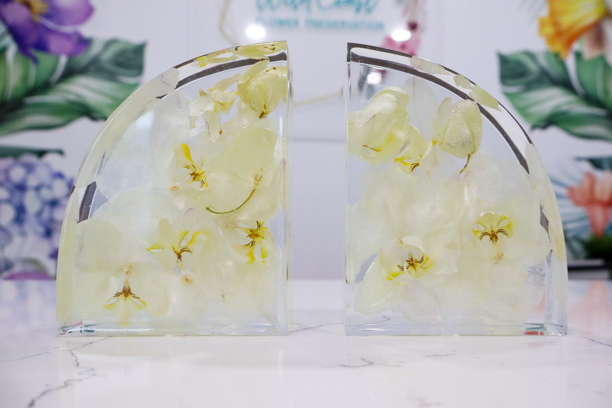 5" Preserved Flower Bookend