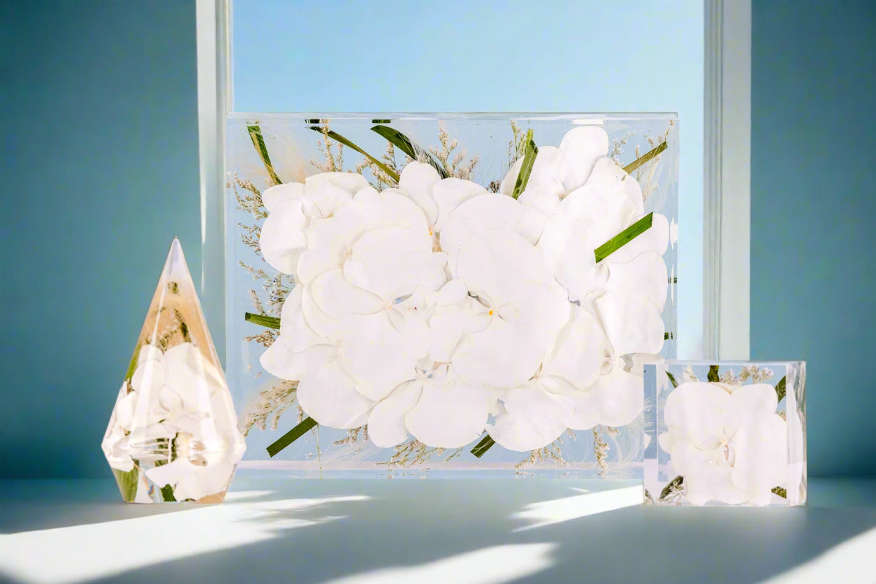 Dried Flower Color Correction Service