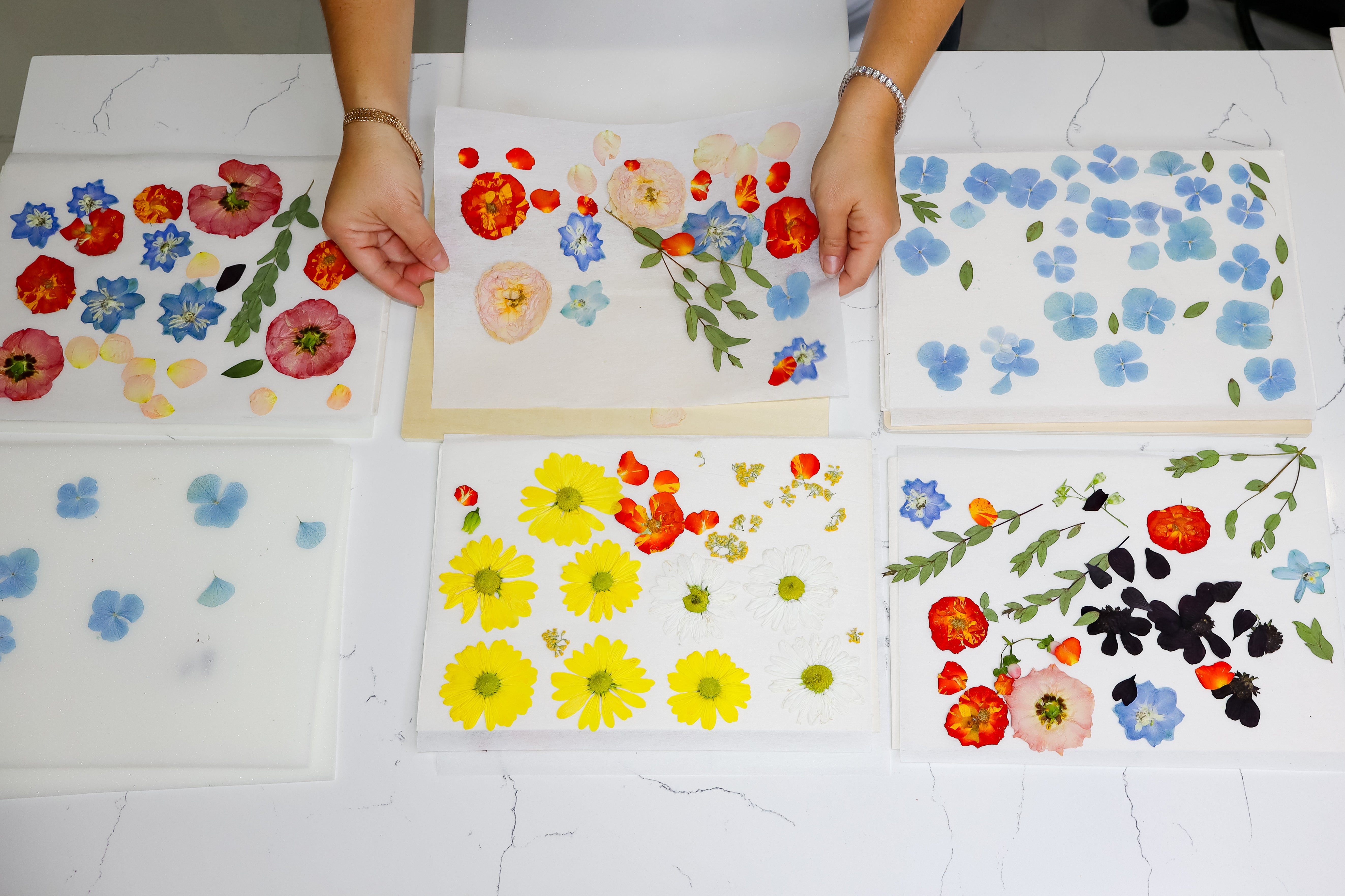 Travel Flower Press Rental | Destination Wedding Flower Press | Travel Bouquet Preservation System