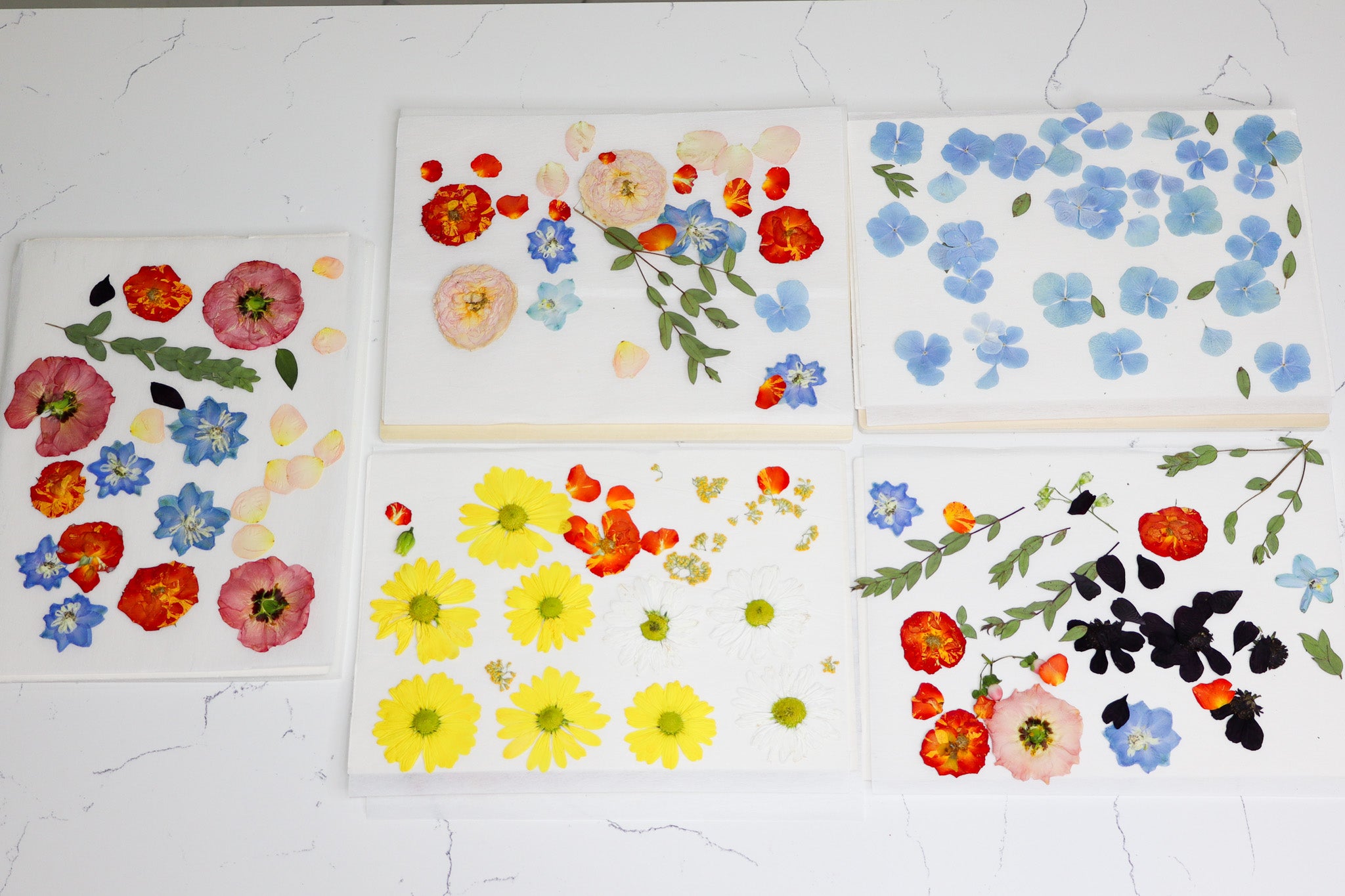 Travel Flower Press Rental | Destination Wedding Flower Press | Travel Bouquet Preservation System