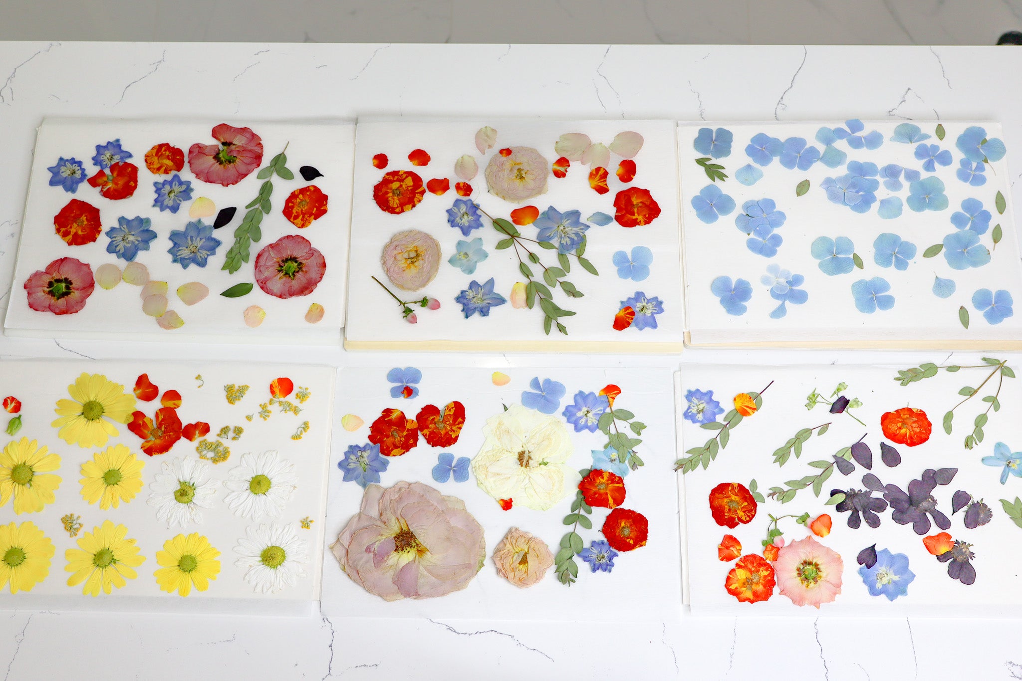 Travel Flower Press Rental | Destination Wedding Flower Press | Travel Bouquet Preservation System