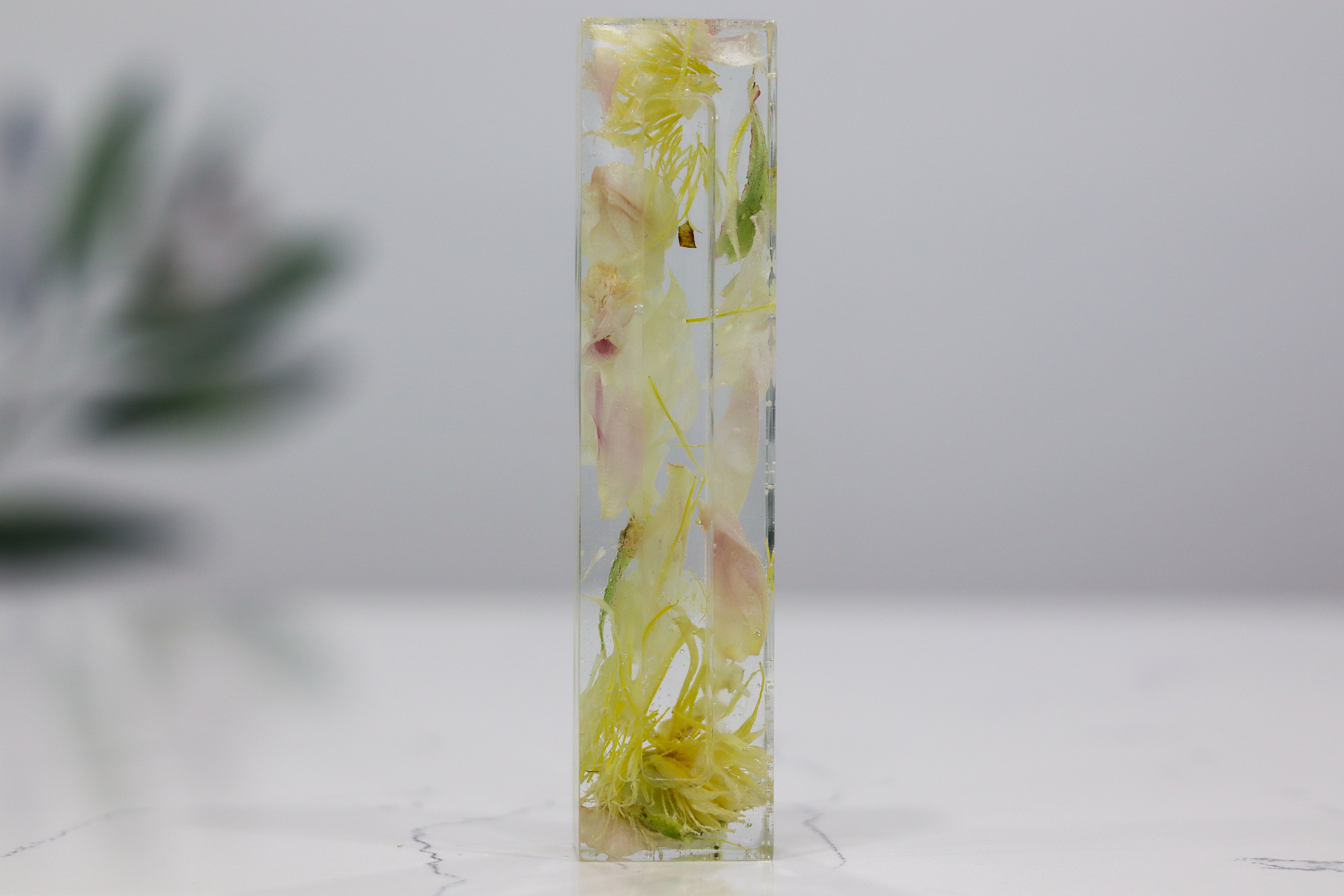 Preserved Flower Mezuzah