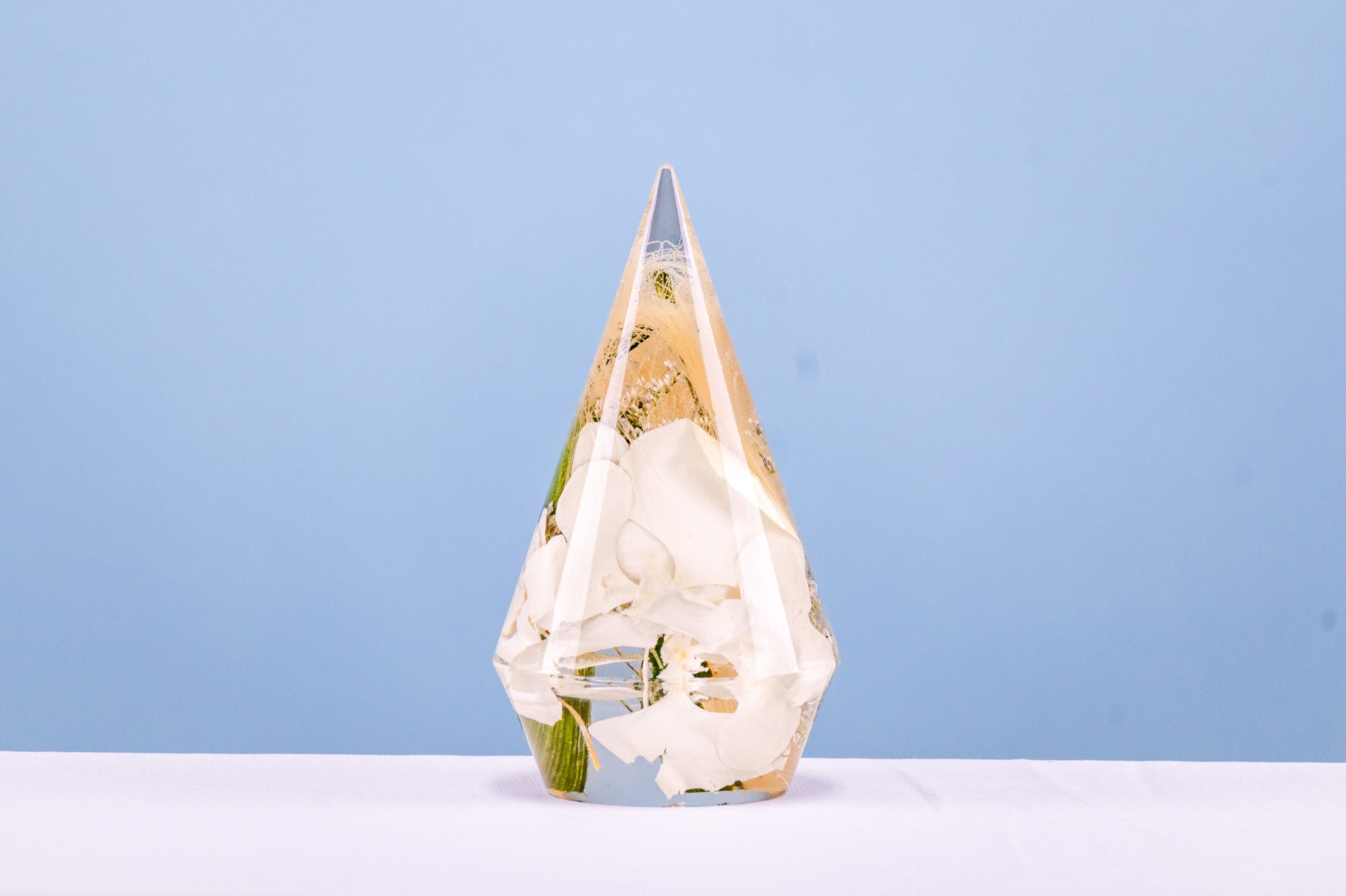 Large Preserved Flower Ring Holder