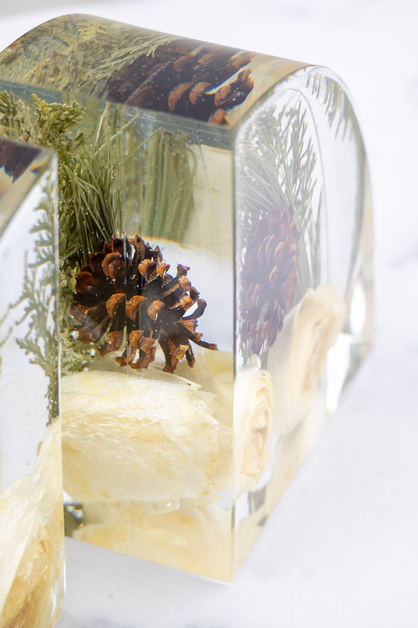 Clear epoxy resin bookend with preserved plants and a pine cone on a white background