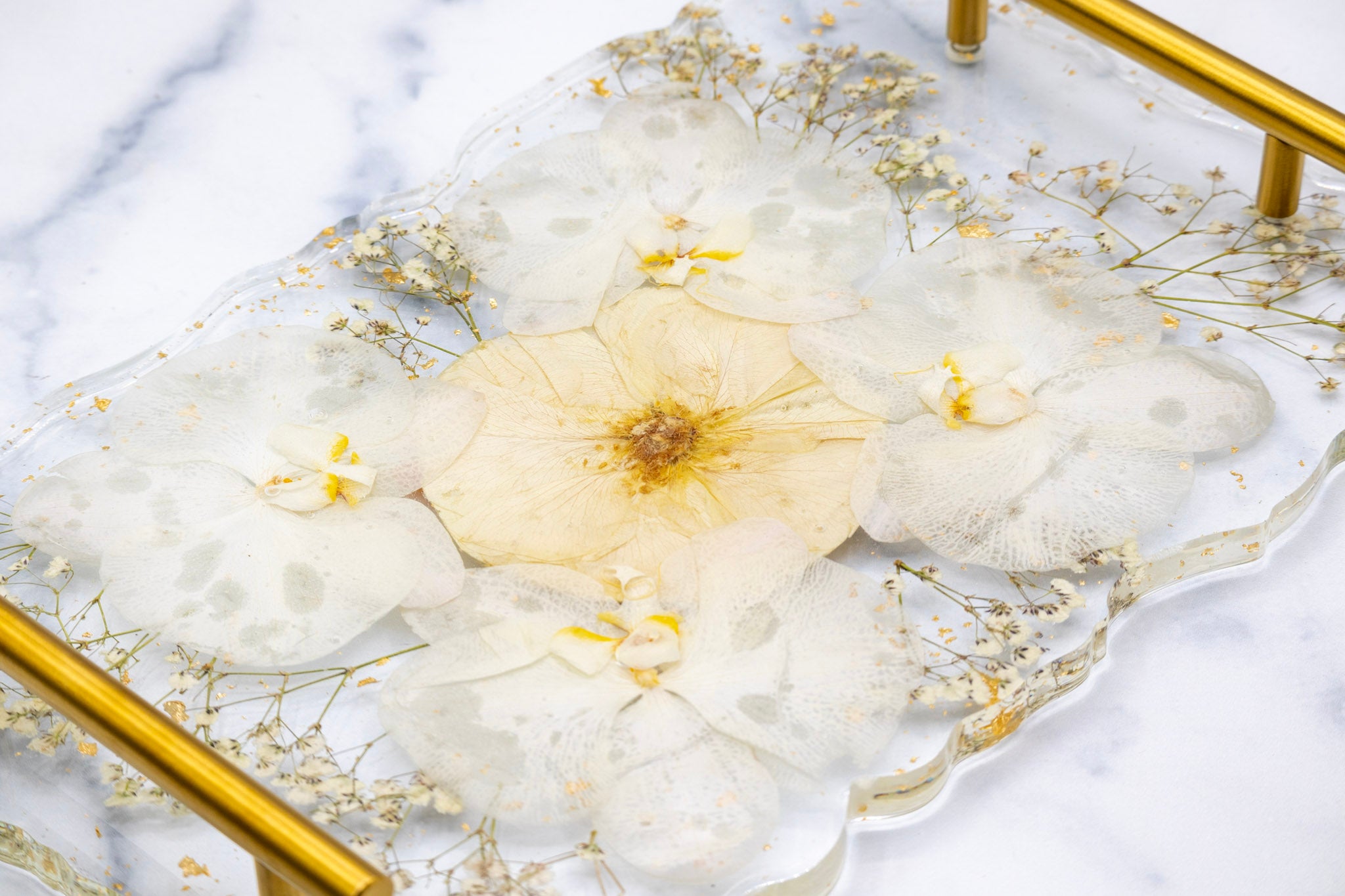 White orchid preservation white rose preservation pressed flower tray