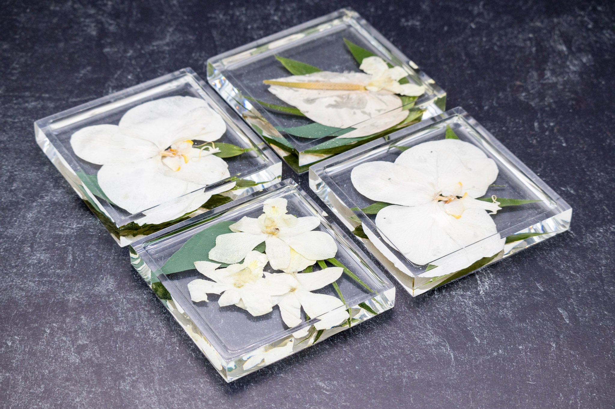 4" Square Pressed Flower Coasters with Raised Edge