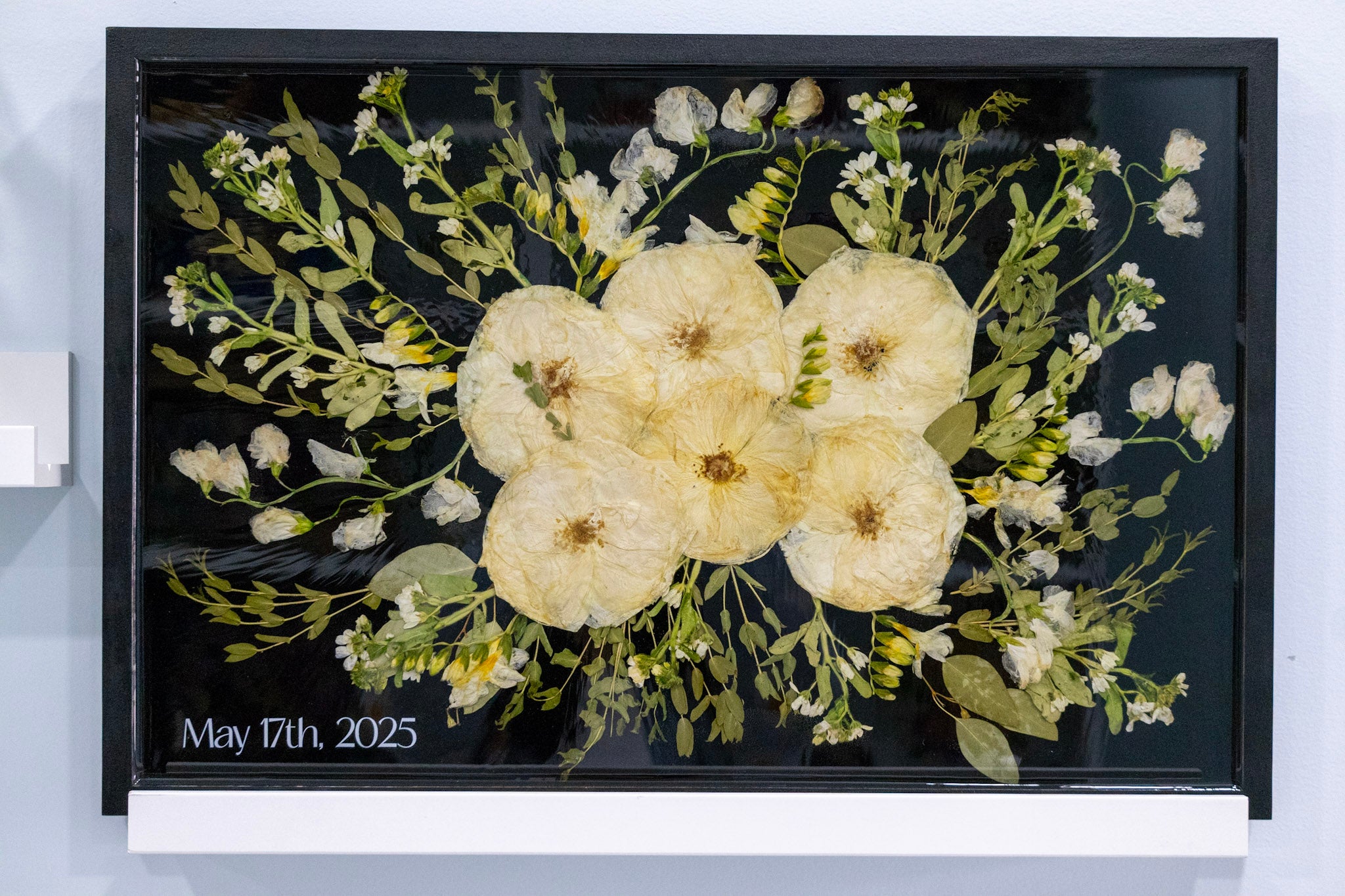 Pressed flower arrangement in a black frame with a date on a light blue background. White rose wedding bouquet on a black frame black background. Florals on black frame.