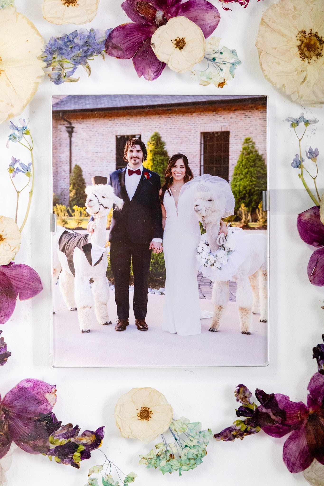 8x10 Preserved Flower Photo Frame