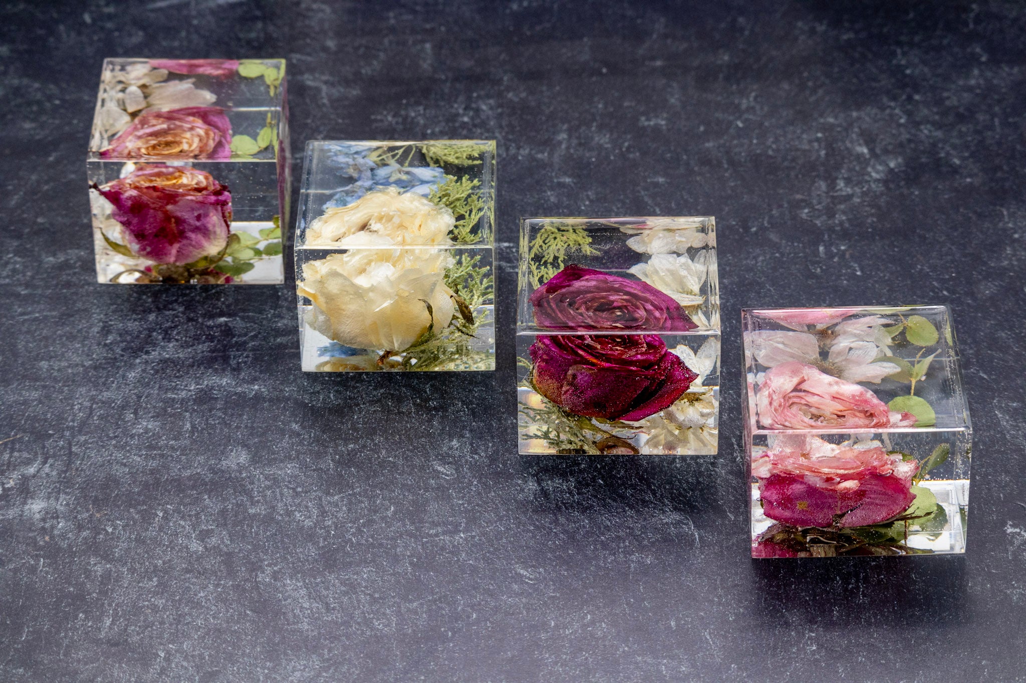 Five transparent cubes with pressed flowers on a dark surface