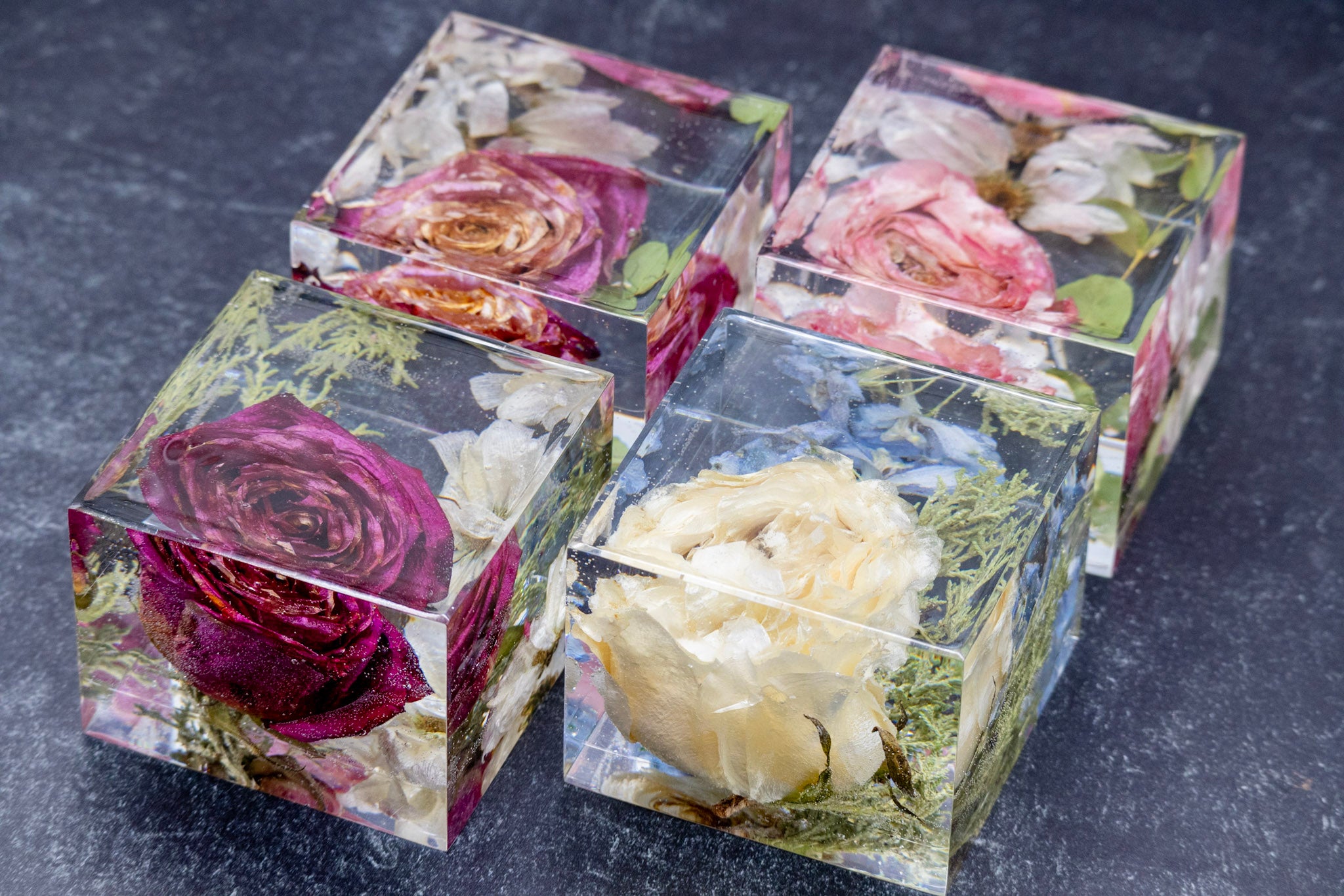 Four transparent cubes with pressed flowers on a dark surface