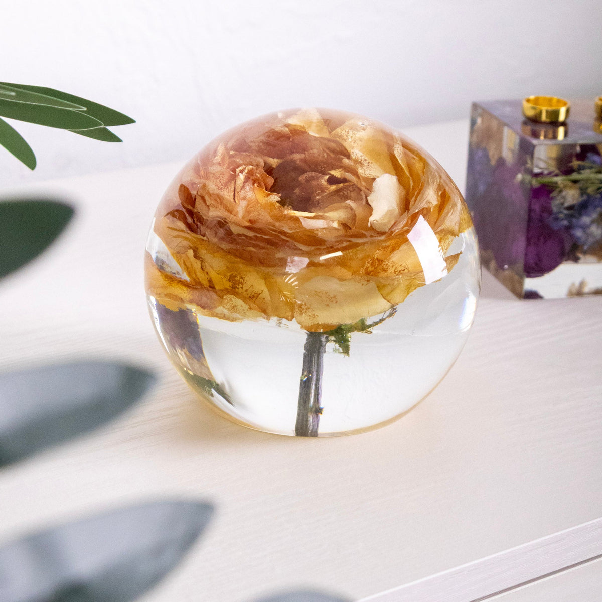 preserved flower sphere 5" round paperweight made with real rose inside