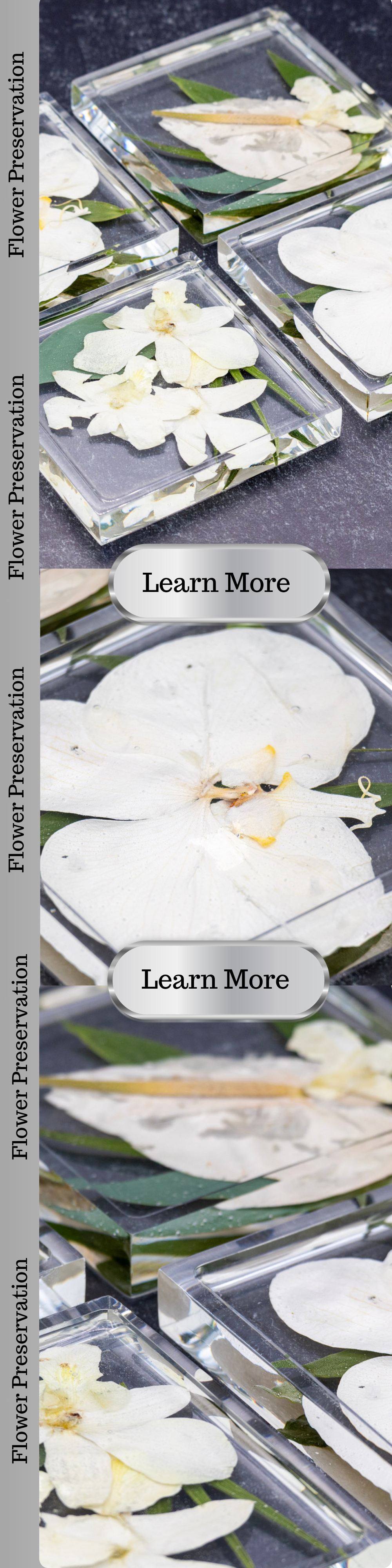 Square Epoxy Coaster Bouquet Preservation Pressed Flower Coaster Set Housewarming Gift Resin Flower Square Coaster Flower Preservation Gift