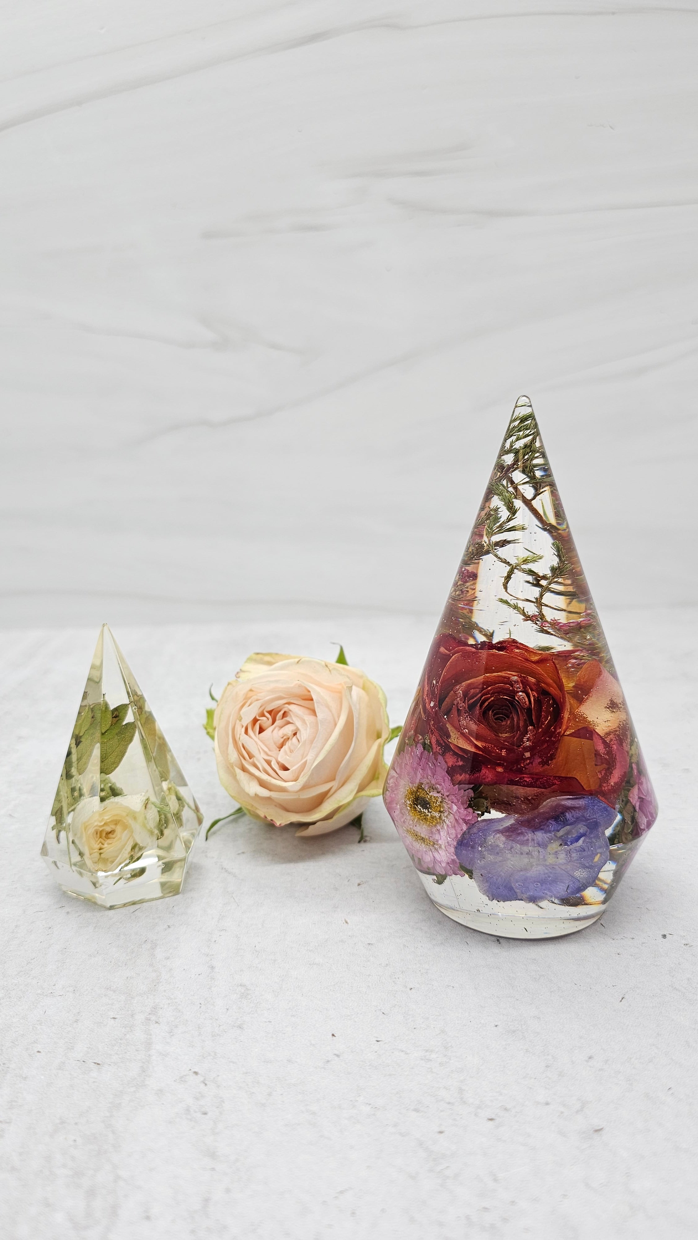 Large Preserved Flower Ring Holder