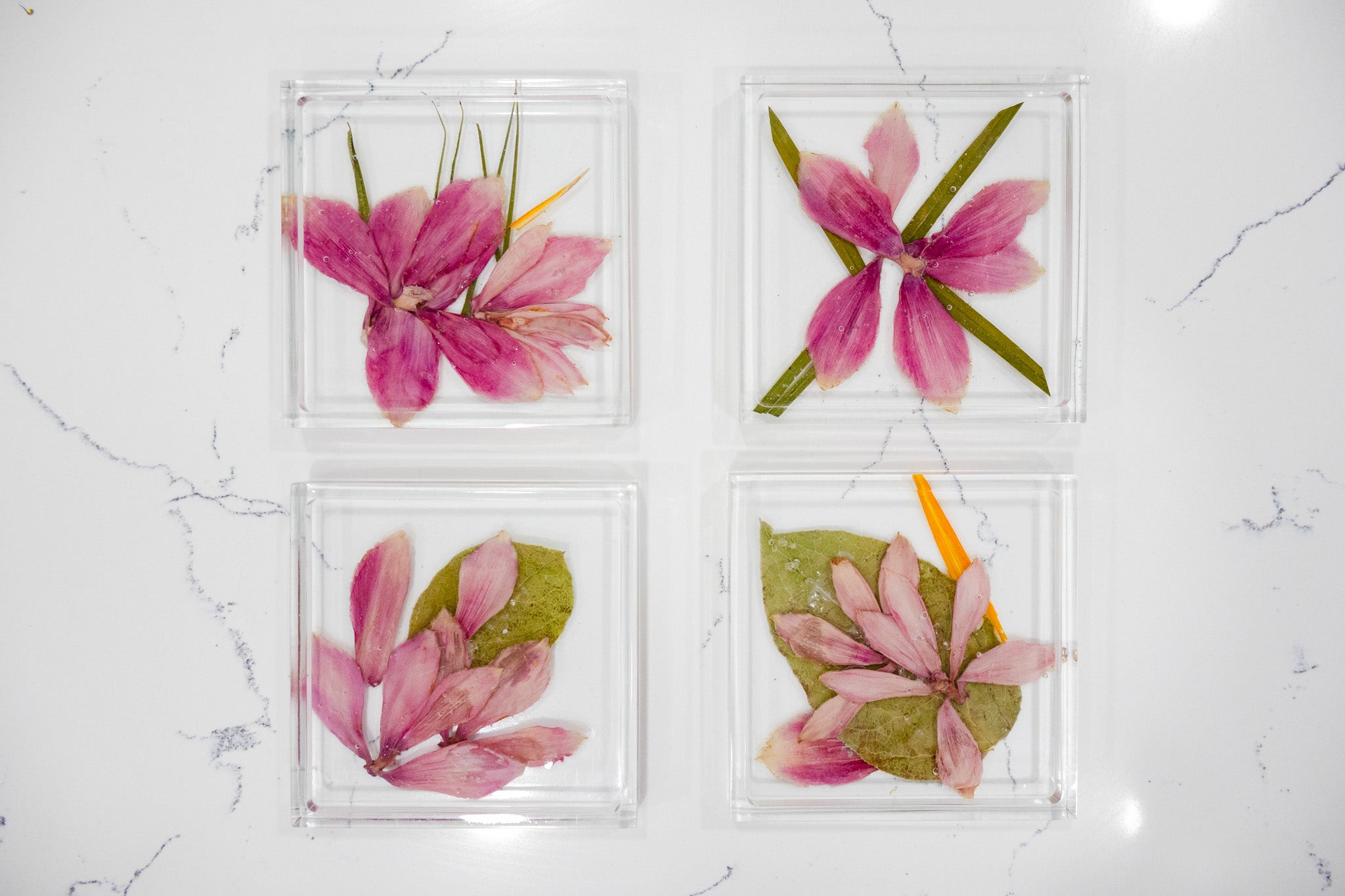 4 square coasters with pink ginger pressed flower, pressed bird of paradise flower and green leaves