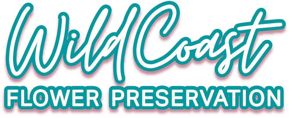Wild Coast Flower Preservation