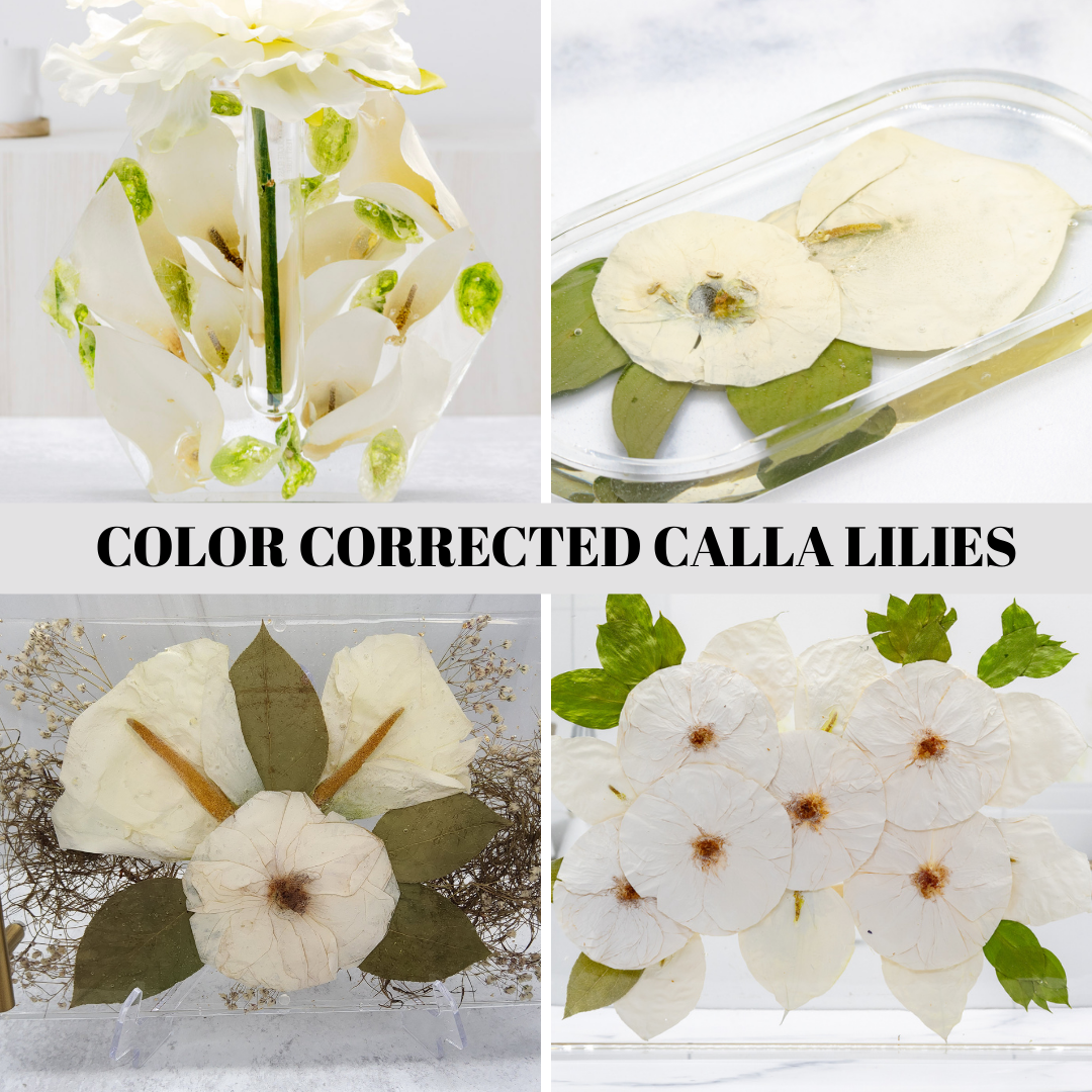 Collage of color corrected calla lilies pressed flower preservation color enhancement service