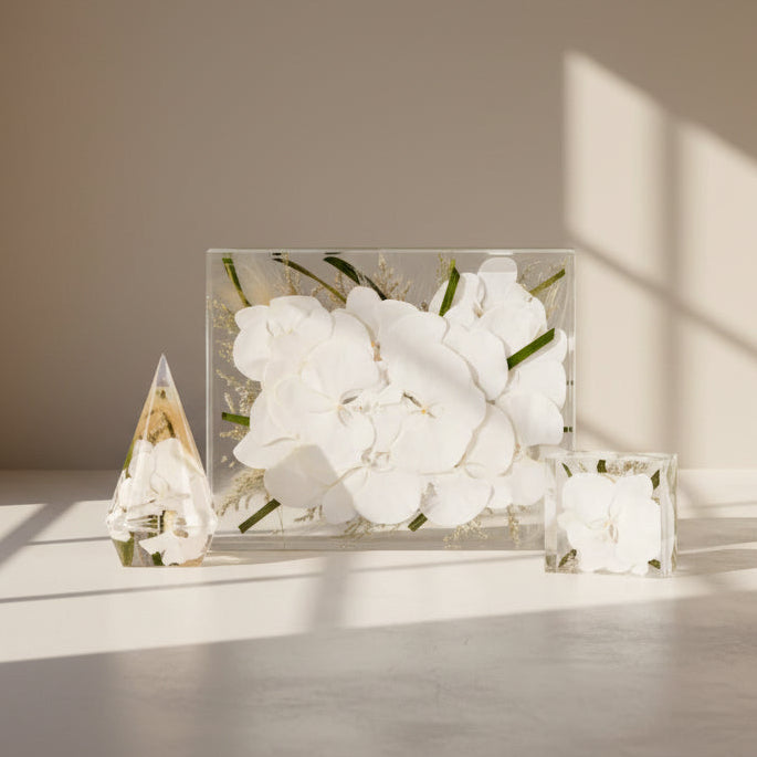 Dried Flower Color Correction Service on white orchid tropical bouquet preservation