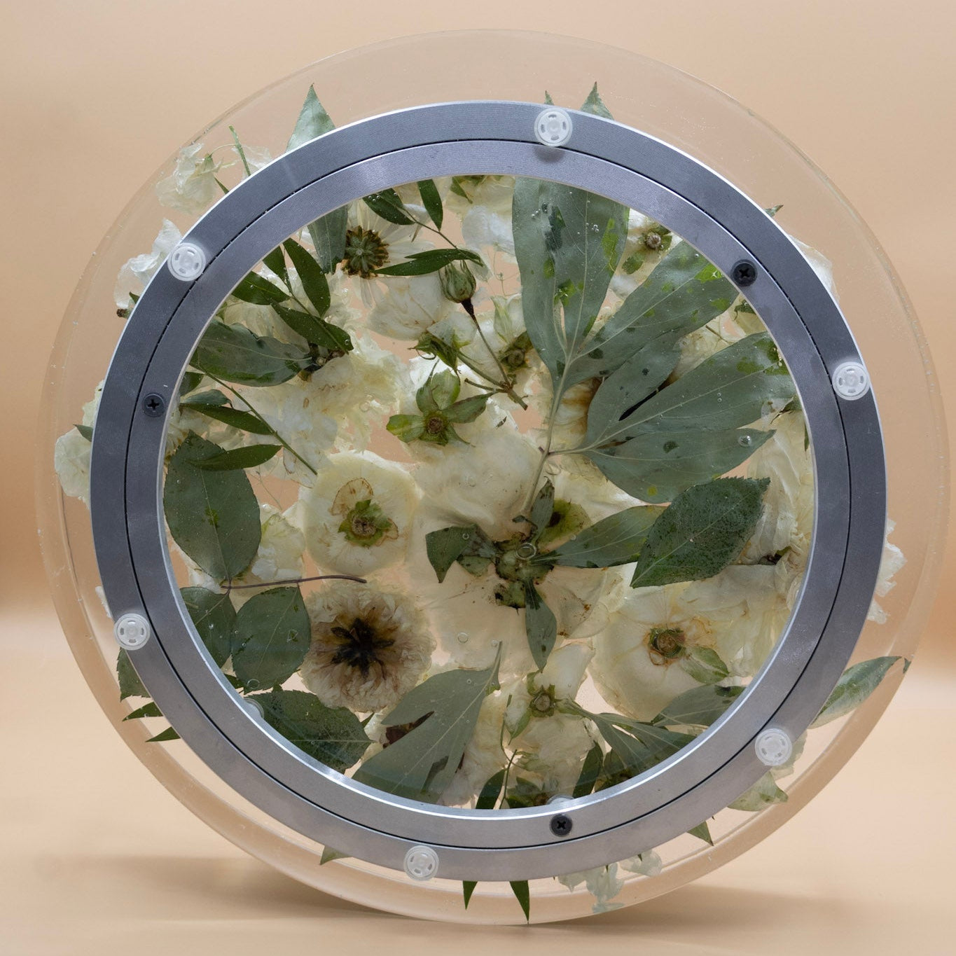 bottom view of the mechanics of our preserved flower lazy susan whole dried flowers and green leaves, encased in resin lazy susan with rotating base set against a solid beige background.