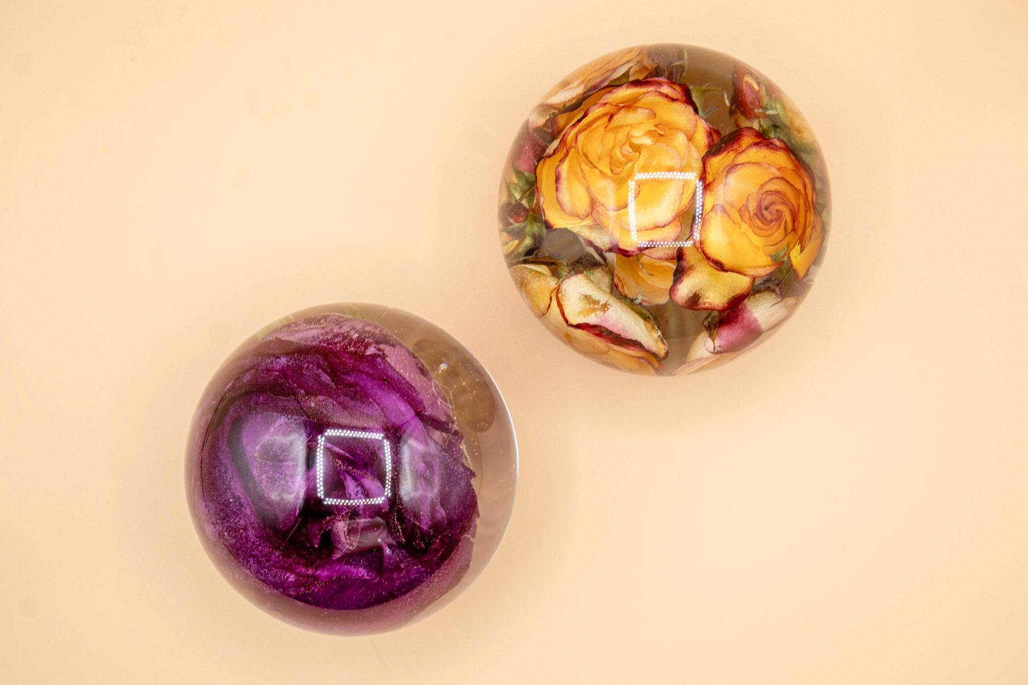 5" Preserved Flower Sphere | Round Ball Display