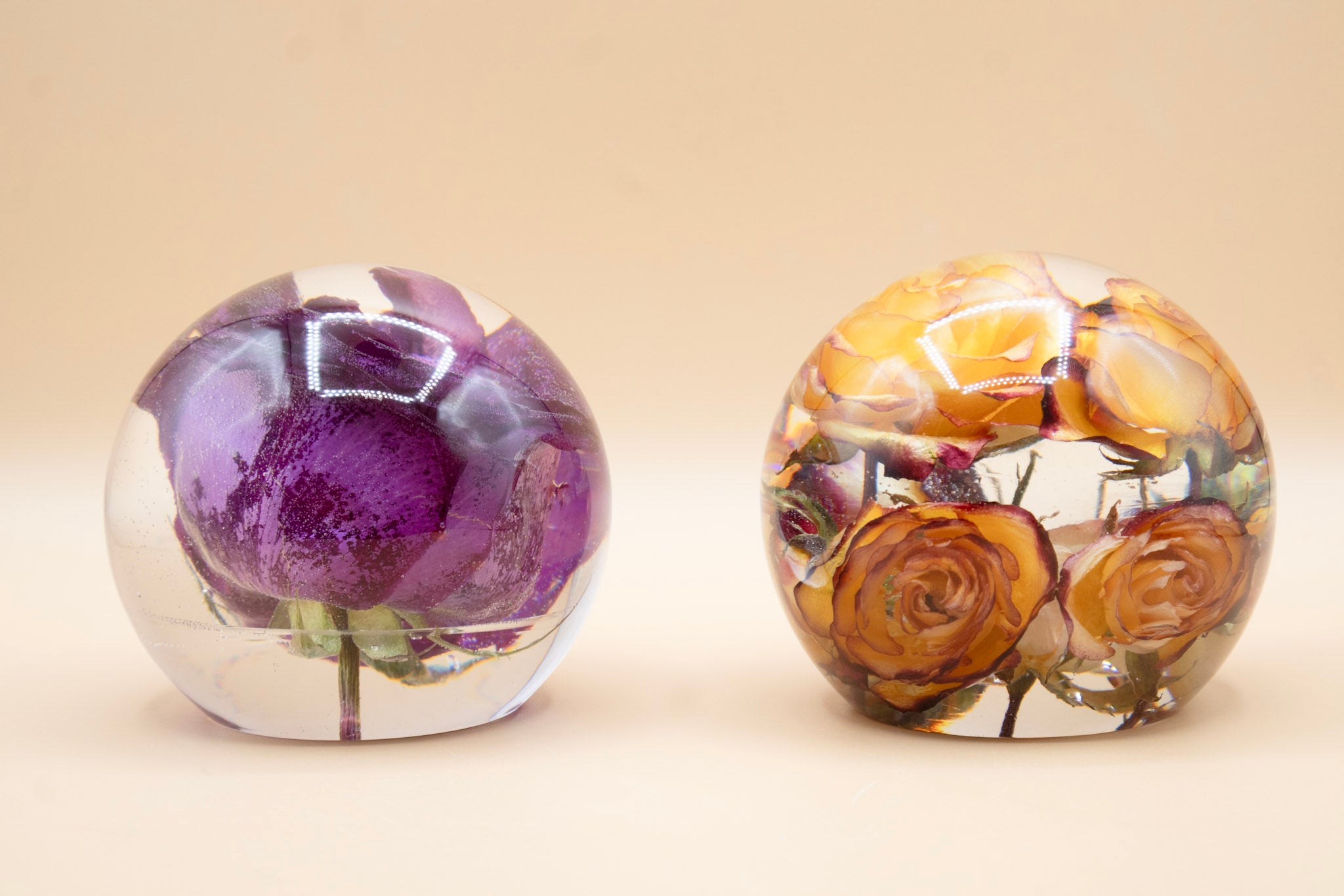 Two preserved-flower resin spheres, one with a purple rose and one with golden-orange roses, a clear flower preservation keepsake.