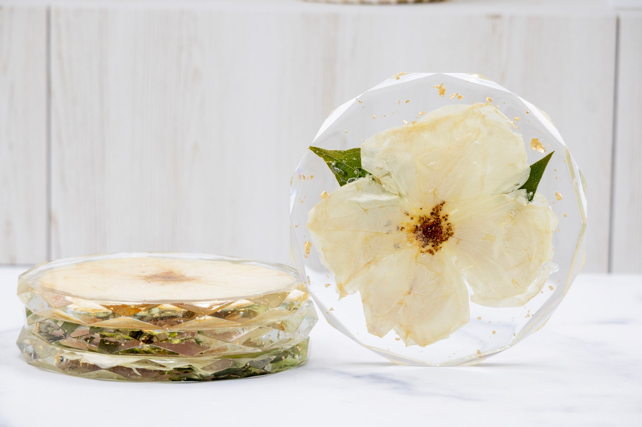 Pressed Flower Coaster Set