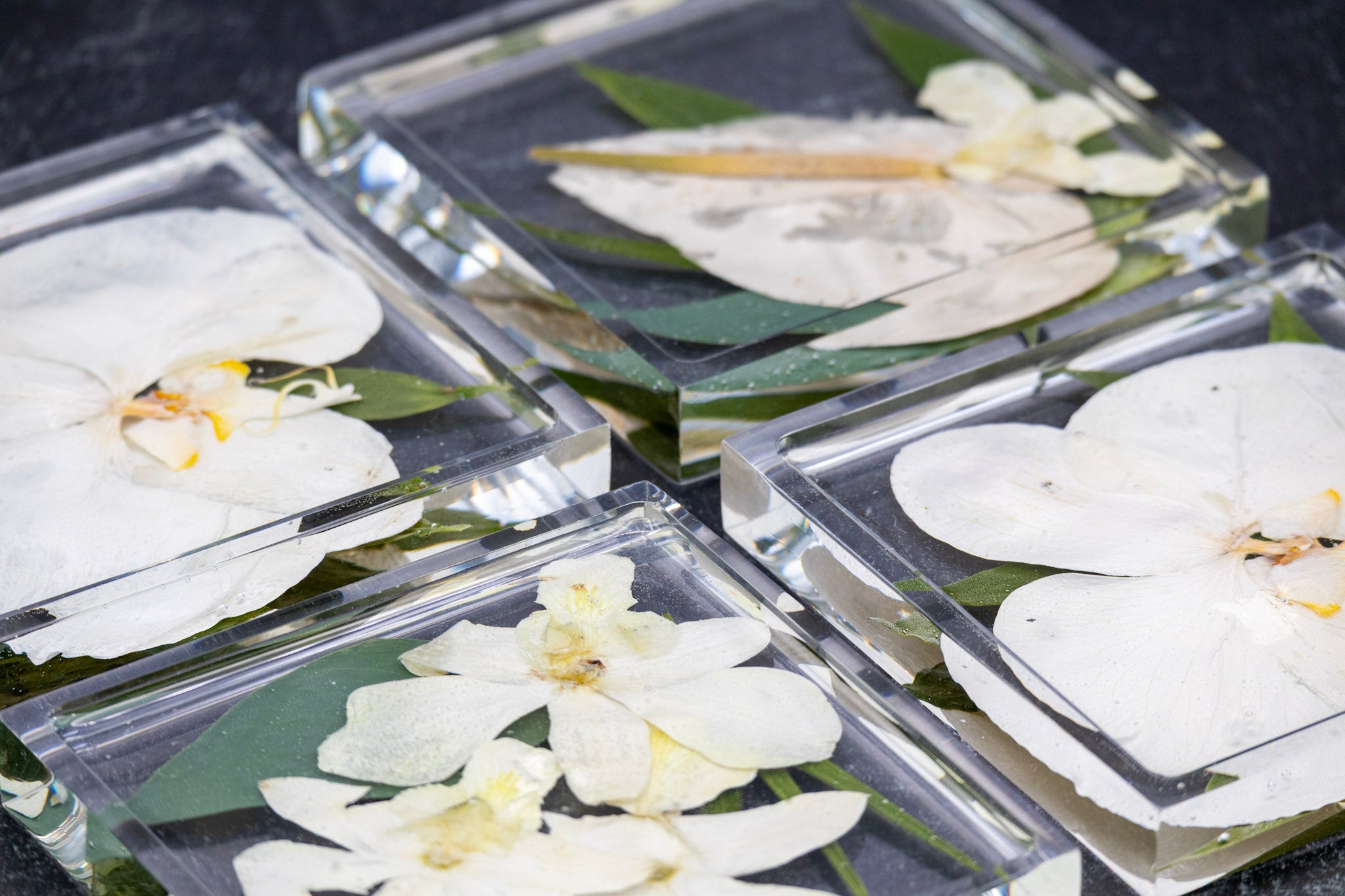 4" Square Pressed Flower Coasters with Raised Edge