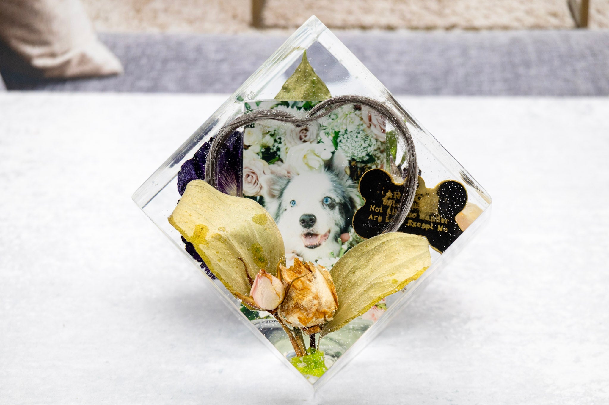 Preserved Flower Pet Hair and Photo Keepsake Pet Boutonnière photo memorial preservation 