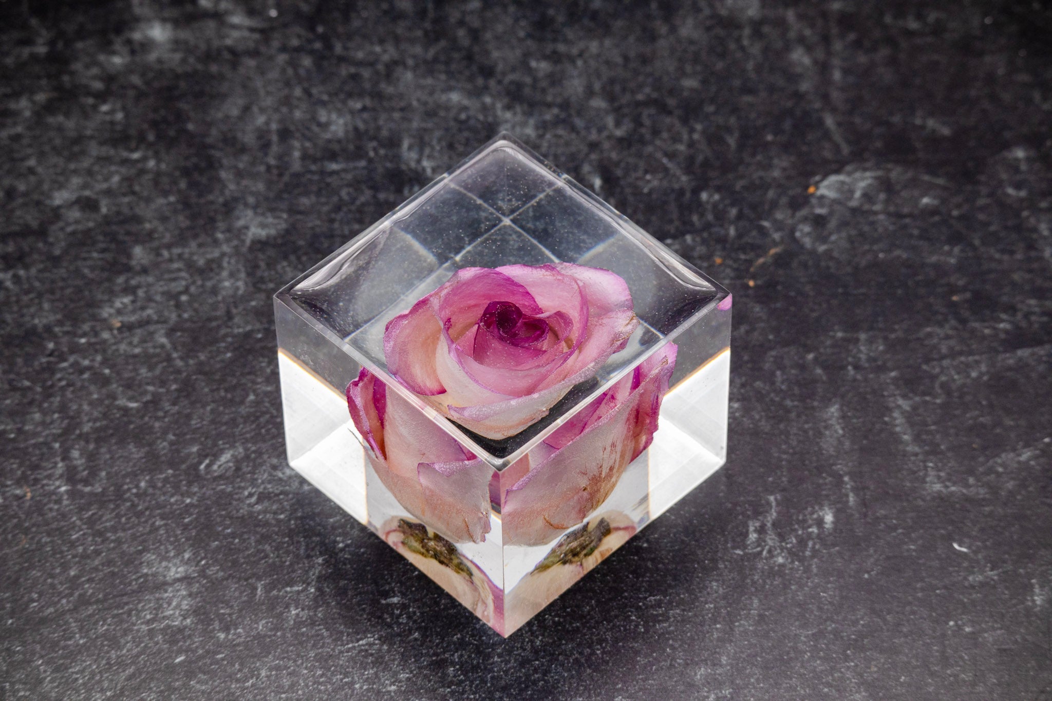 Pink rose inside a transparent resin cube on a dark surface