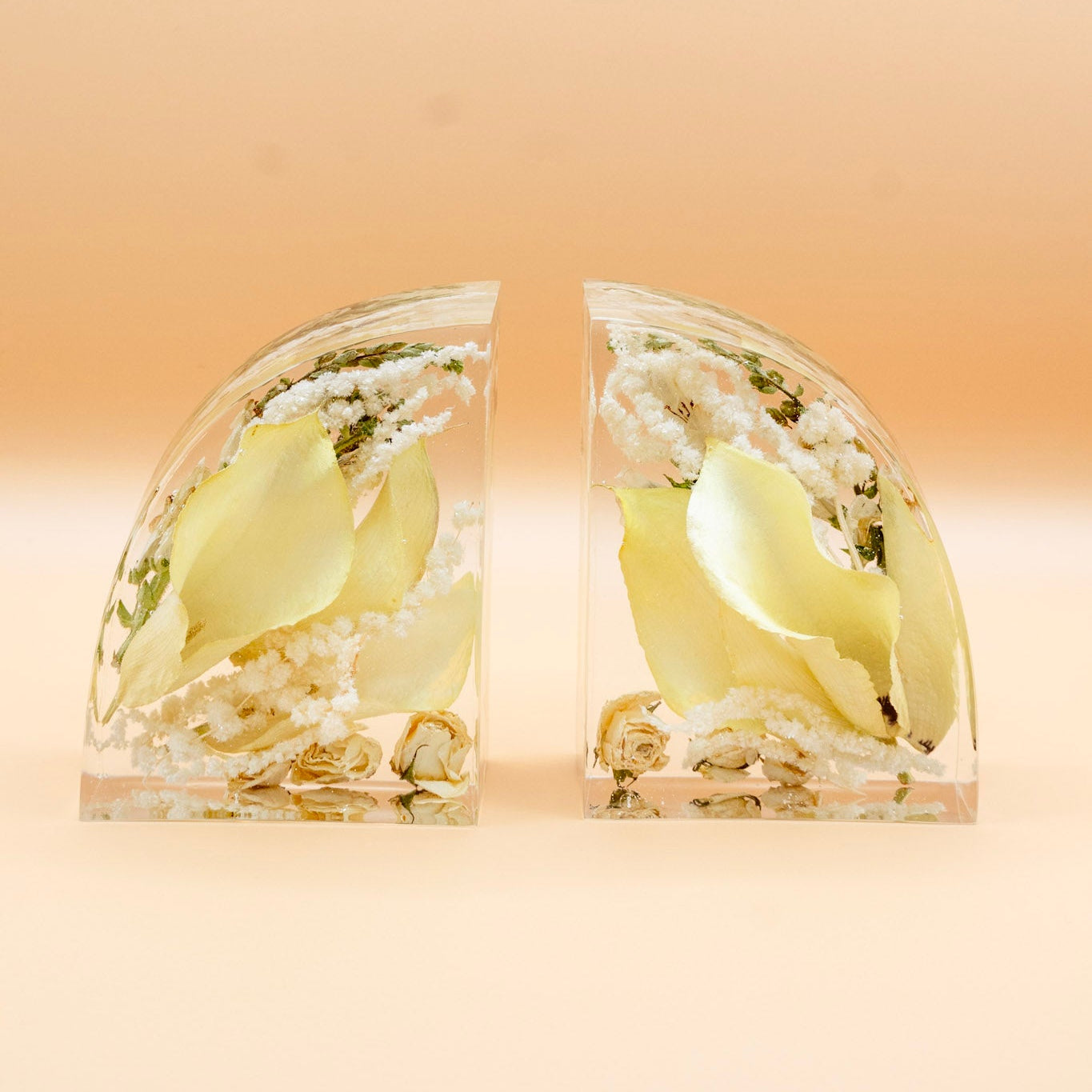 Clear resin bookends with dried white calla lily flower design on a beige background