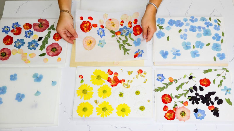Wide landscape banner graphic for Wild Coast Flower Preservation with product and brand imagery