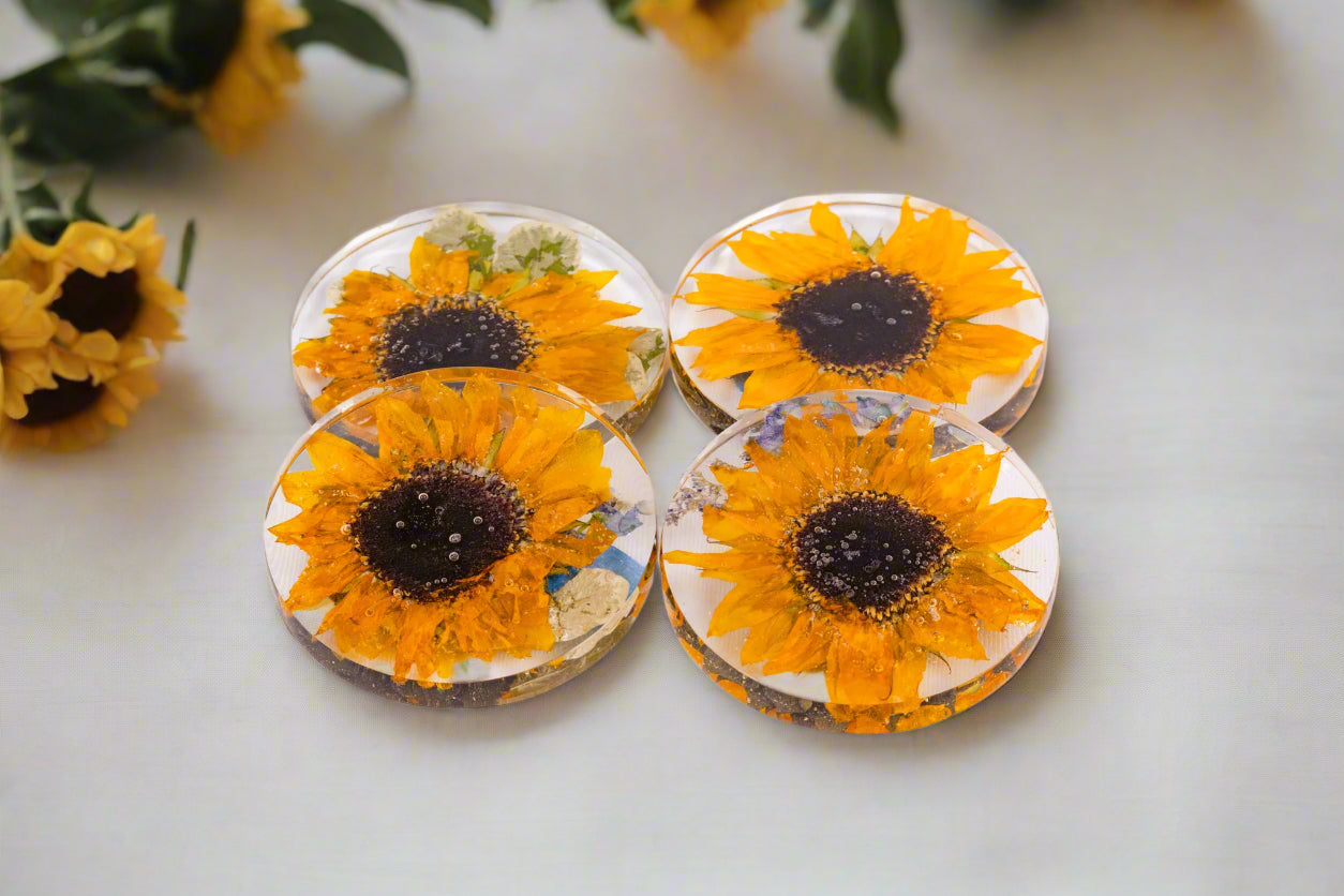 Preserved Flowers Round Coasters Sunflower 